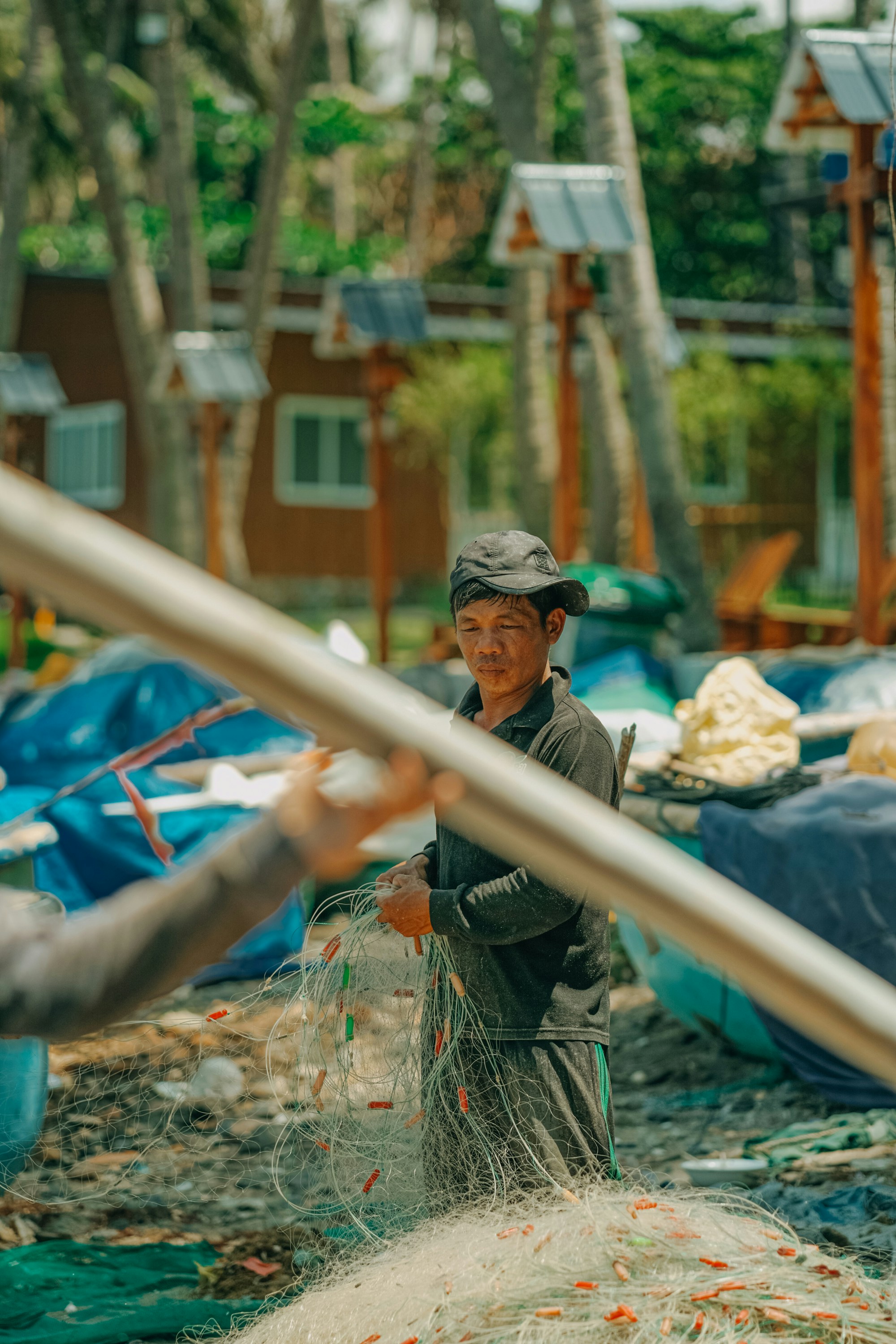 Photo by nguyentrungnguyen