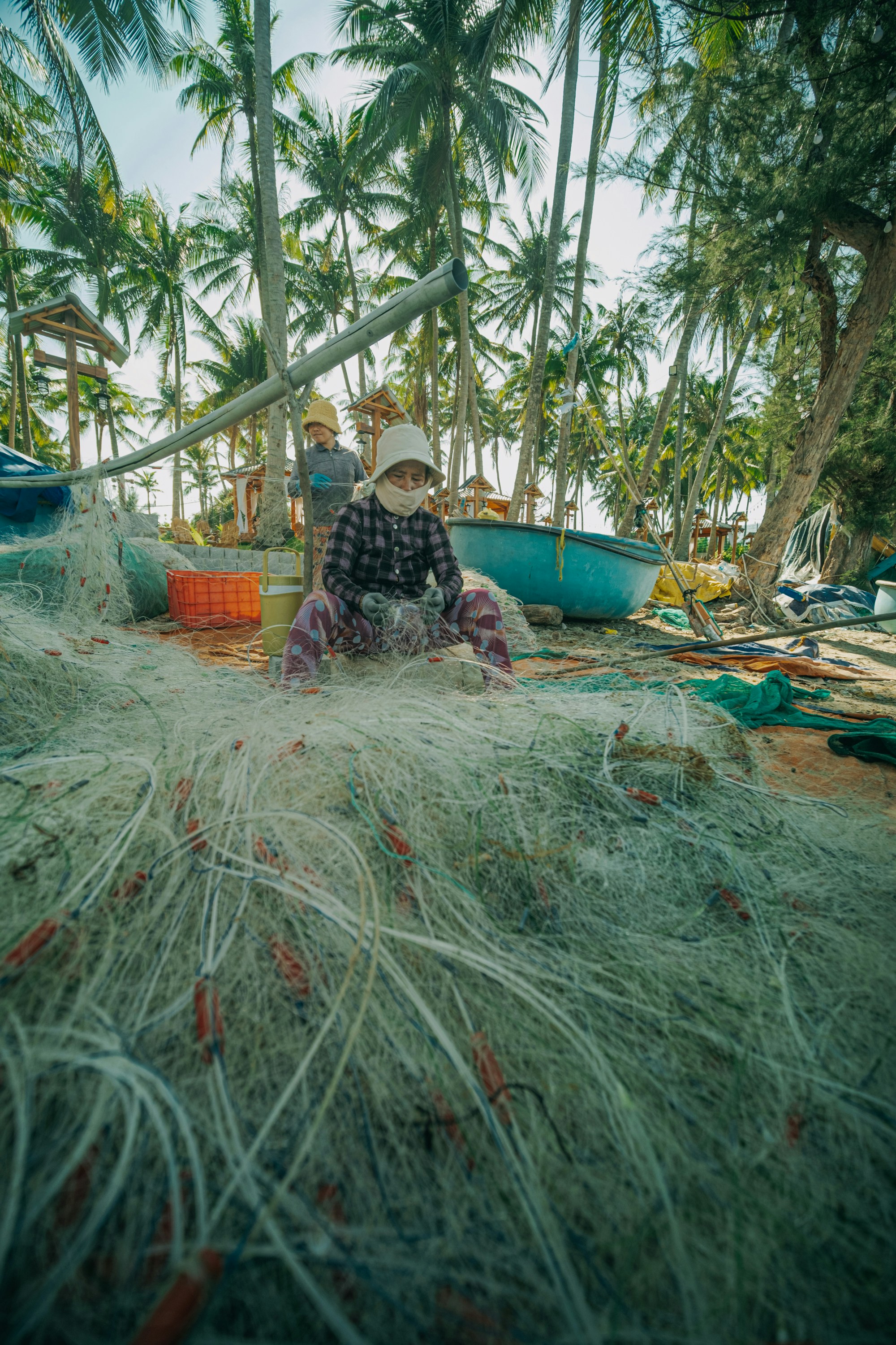 Photo by nguyentrungnguyen