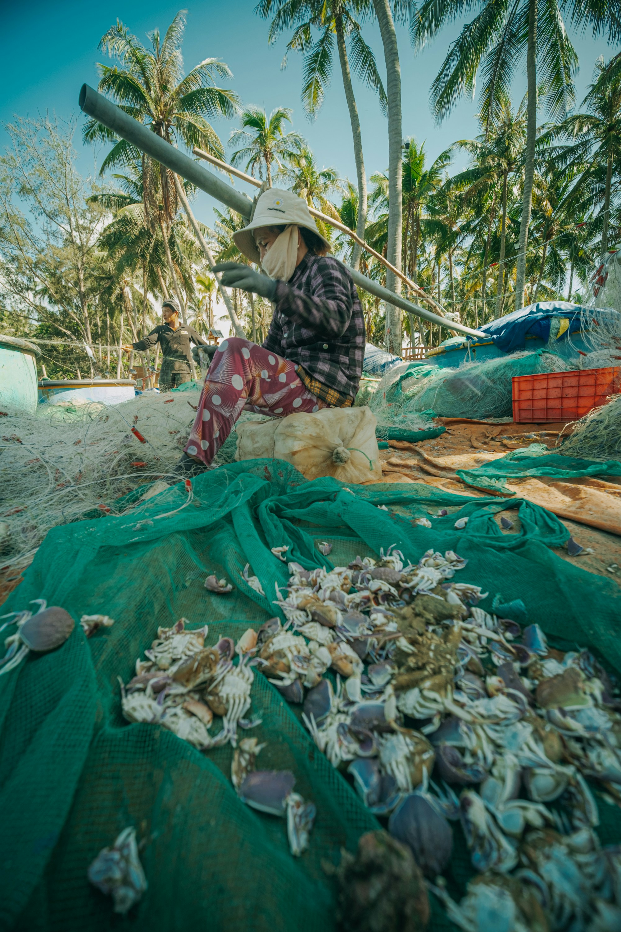 Photo by nguyentrungnguyen