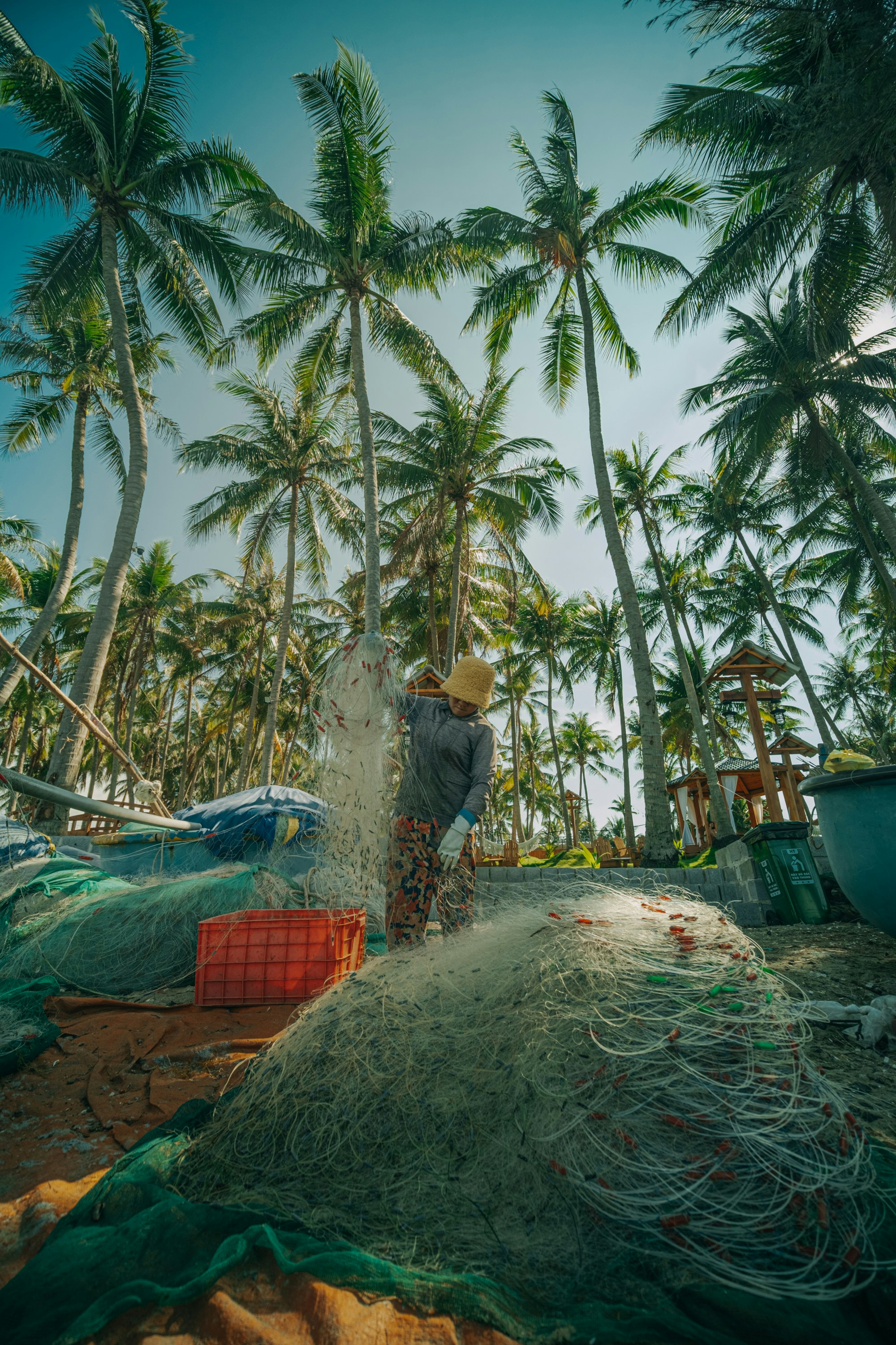 Photo by nguyentrungnguyen