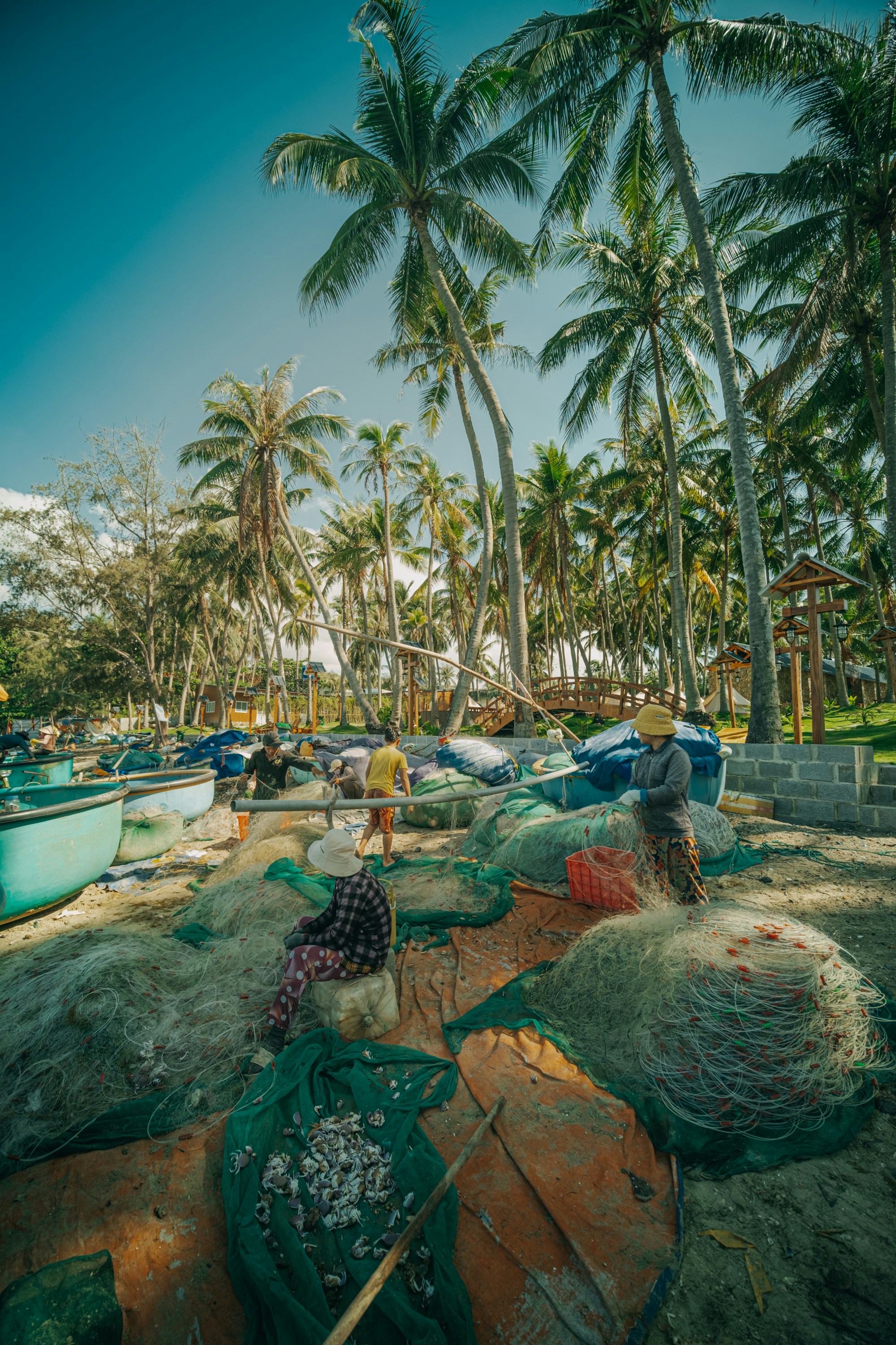 Photo by nguyentrungnguyen