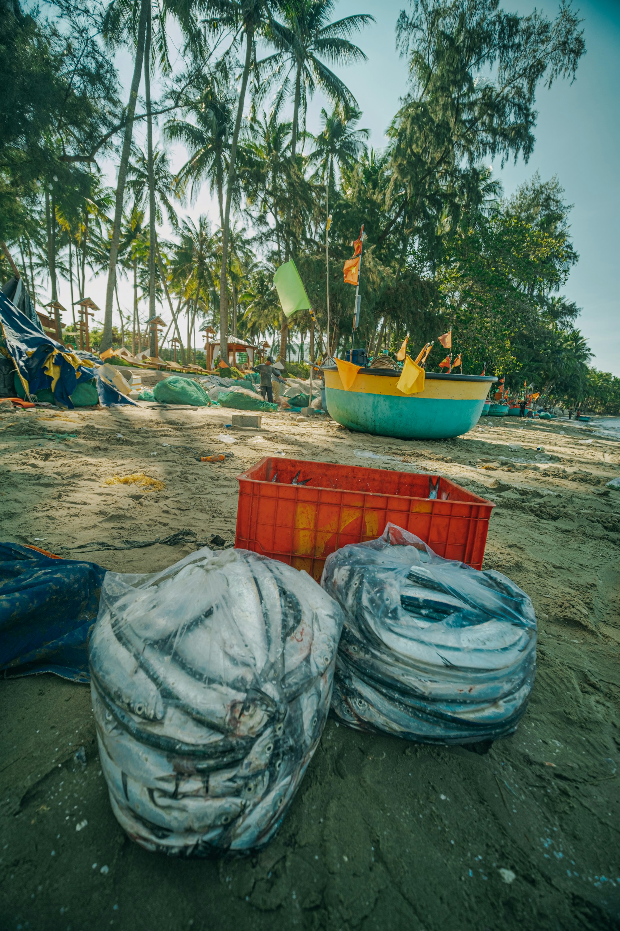 Photo by nguyentrungnguyen