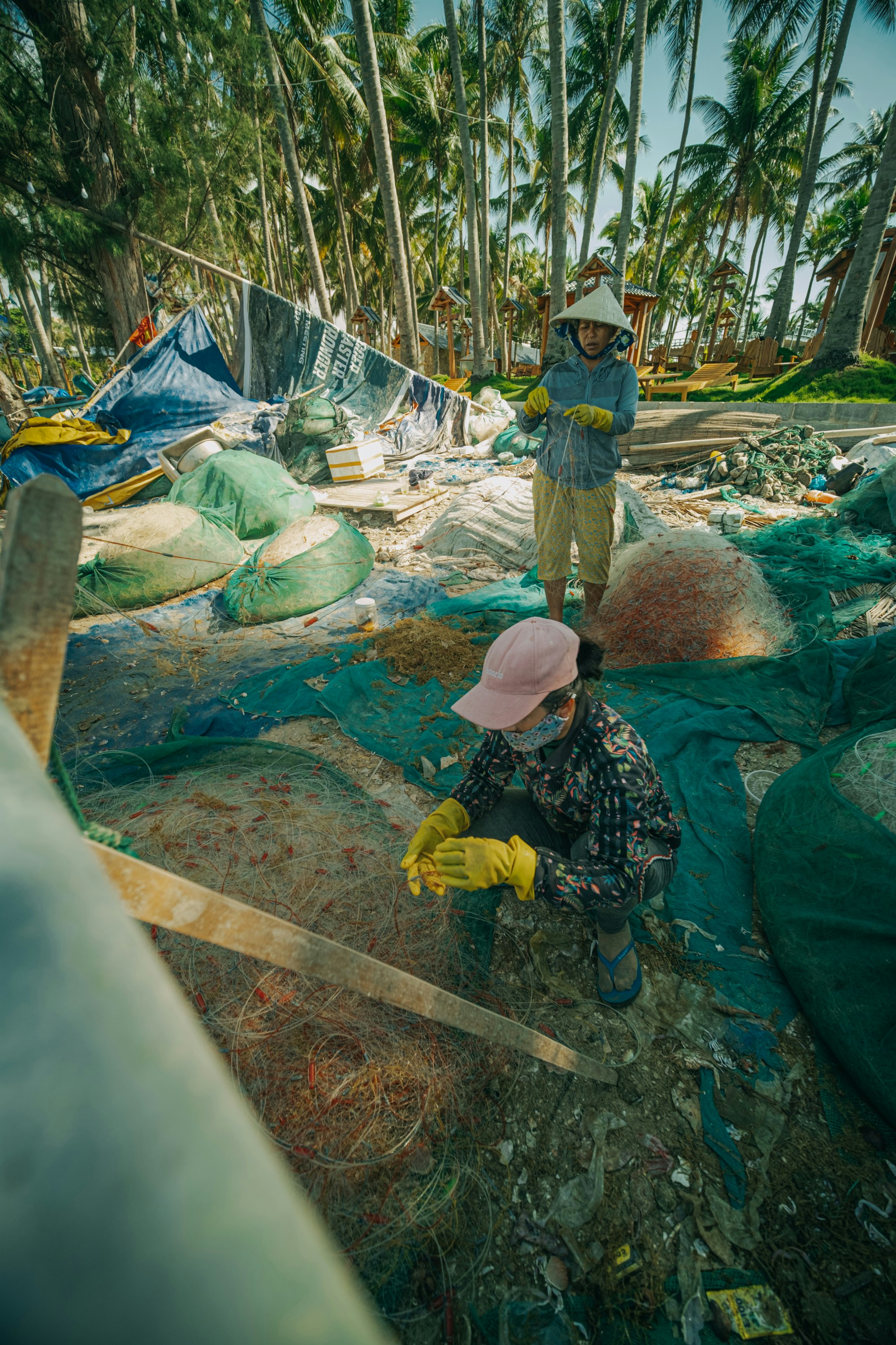 Photo by nguyentrungnguyen
