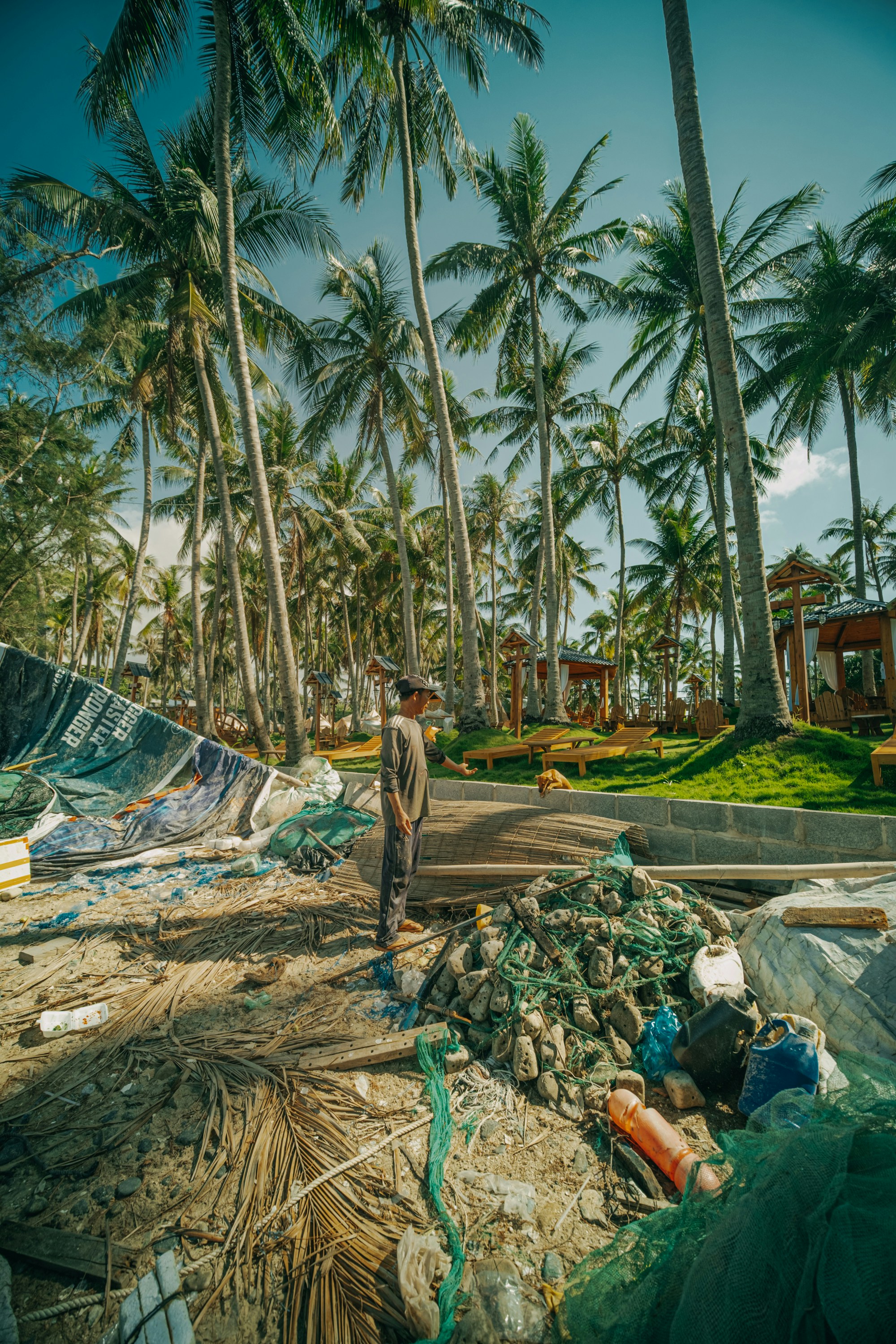 Photo by nguyentrungnguyen