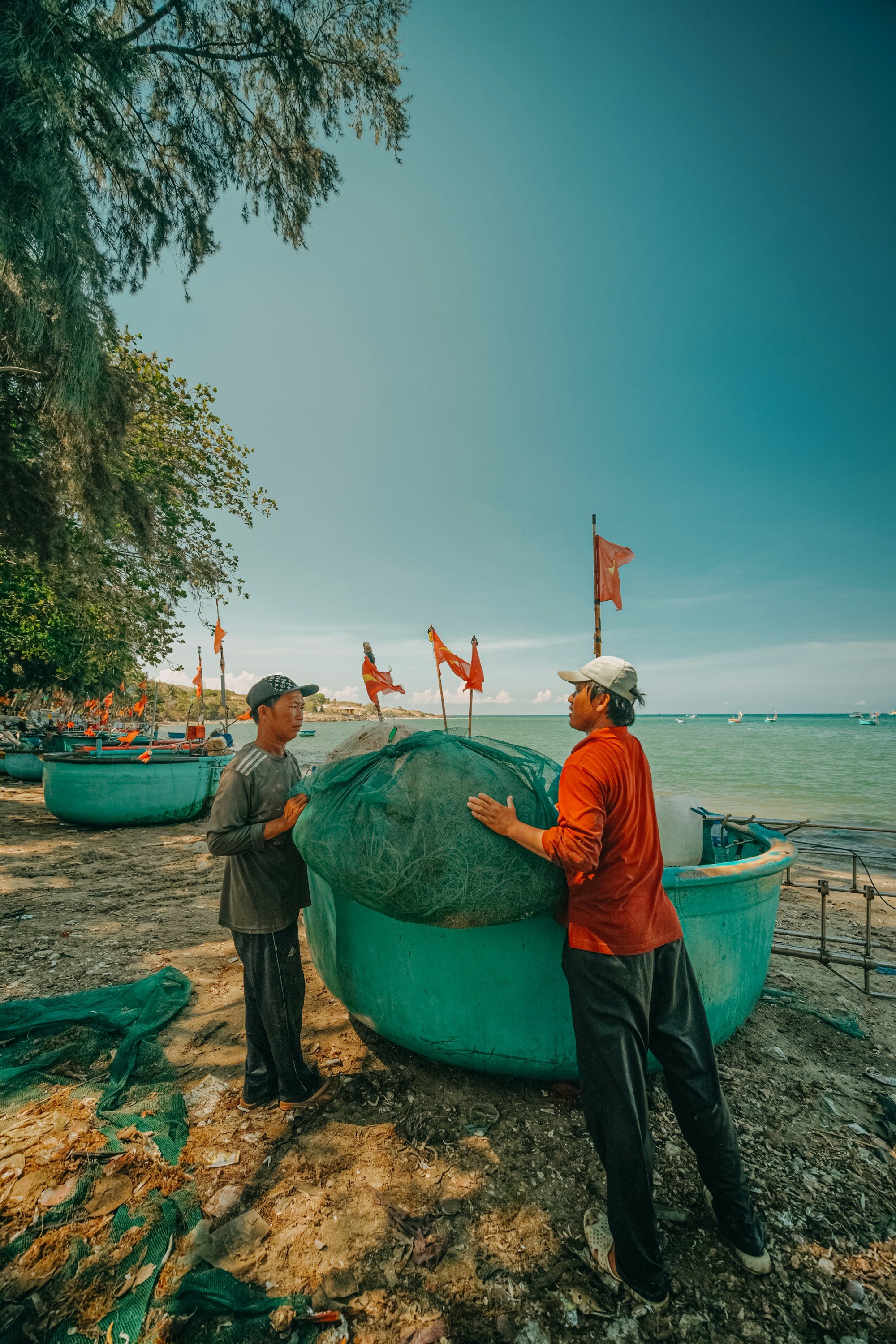남당항 대하축제 대하잡기 관련 이미지1