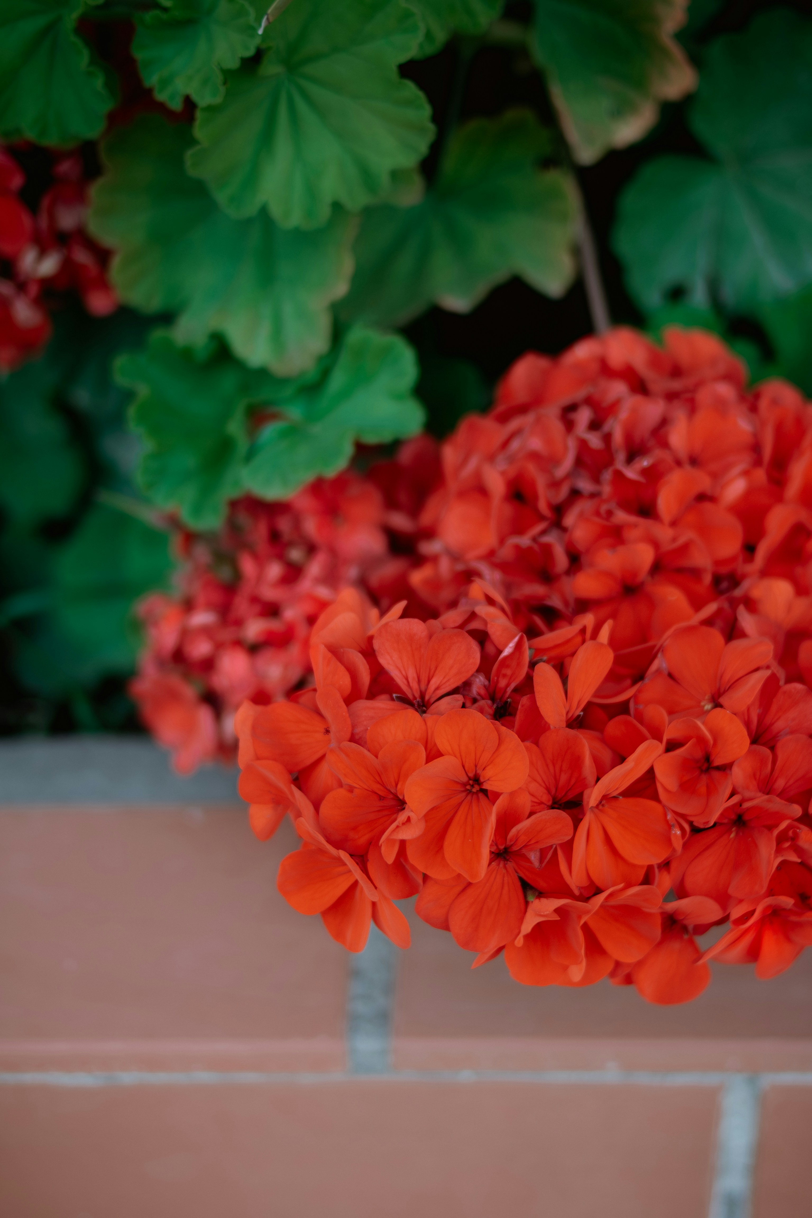 Photo by svitlana_rusak