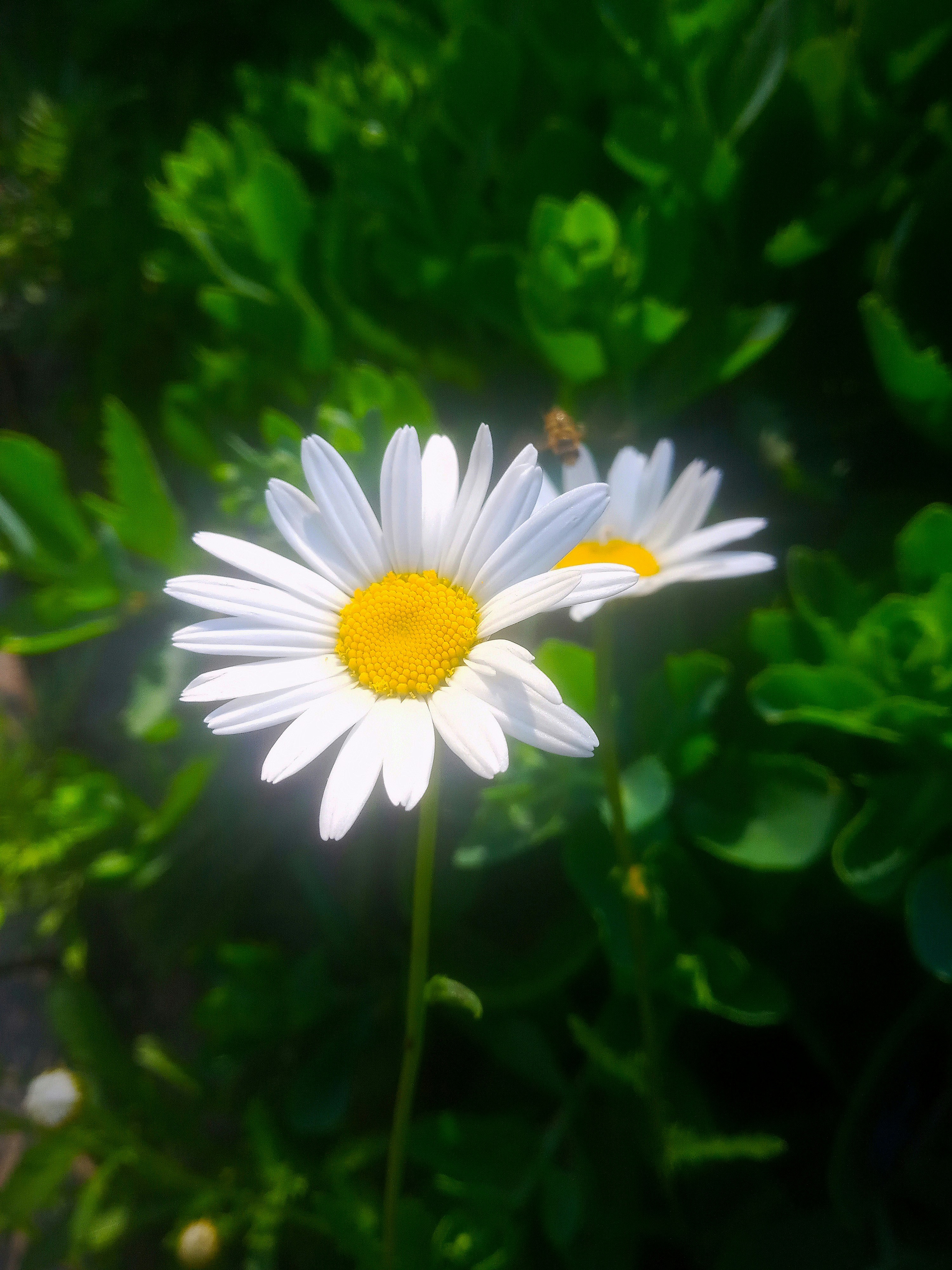 Photo by dmitry_burdakov