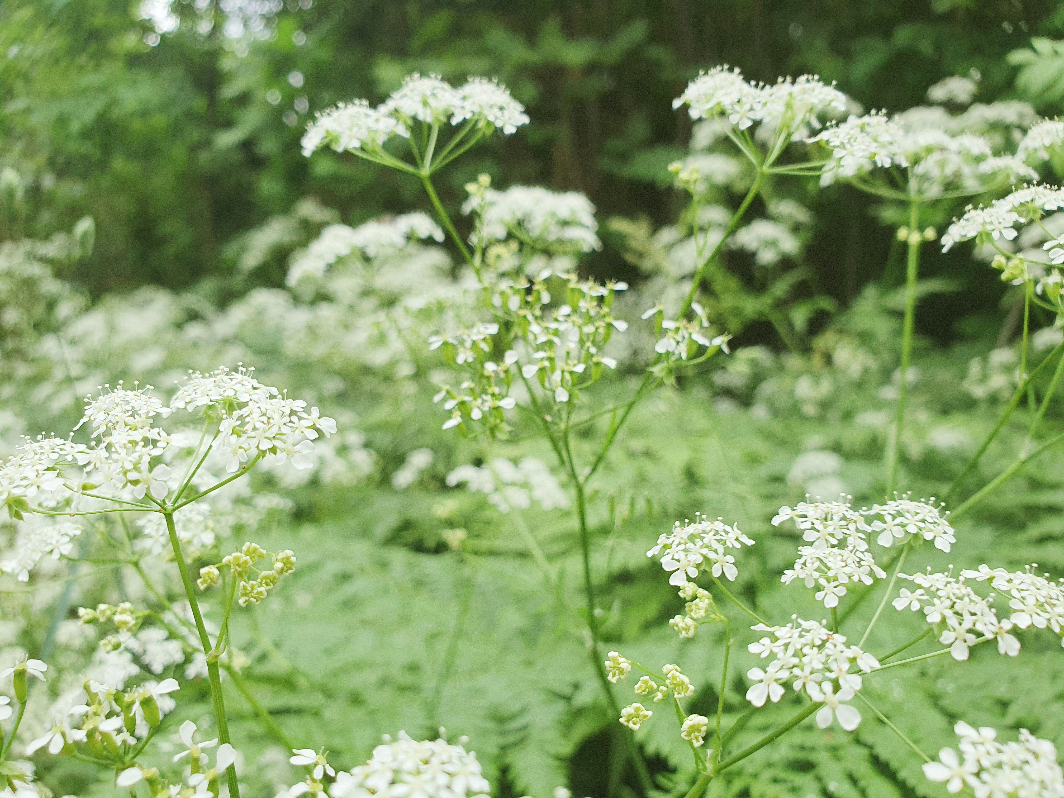 Photo by arcturiankimona