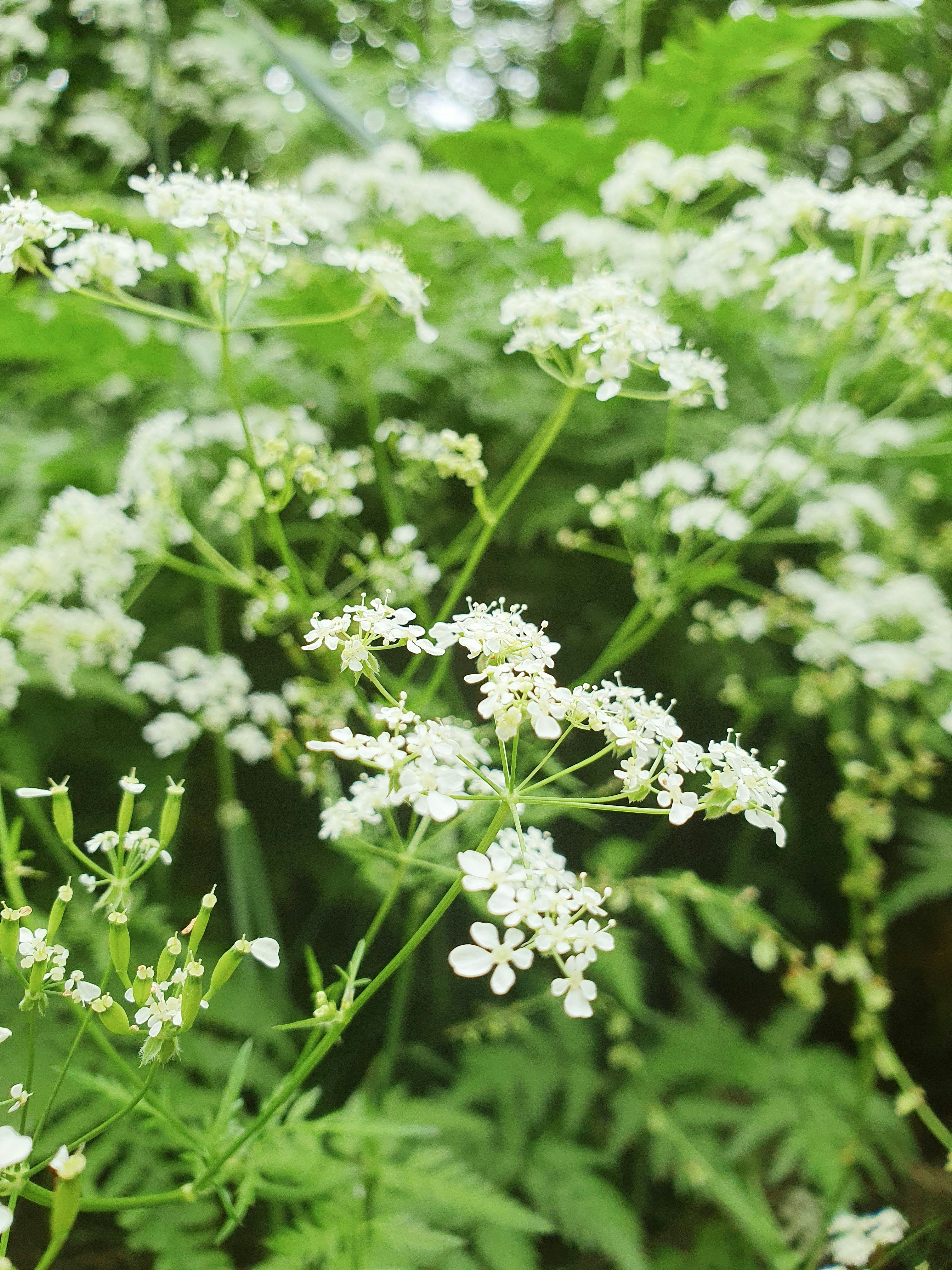 Photo by arcturiankimona