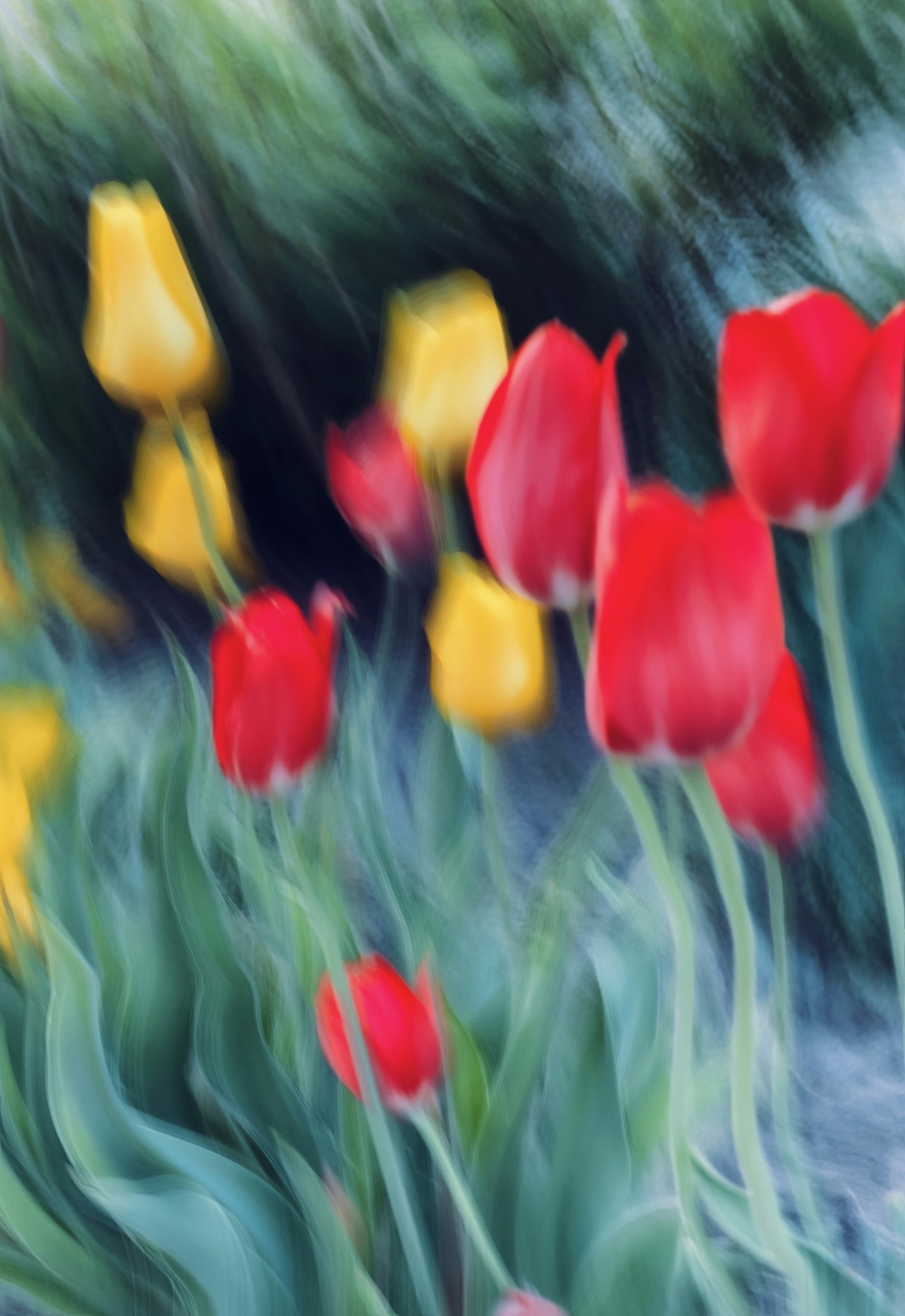 Photo by eugene_golovesov