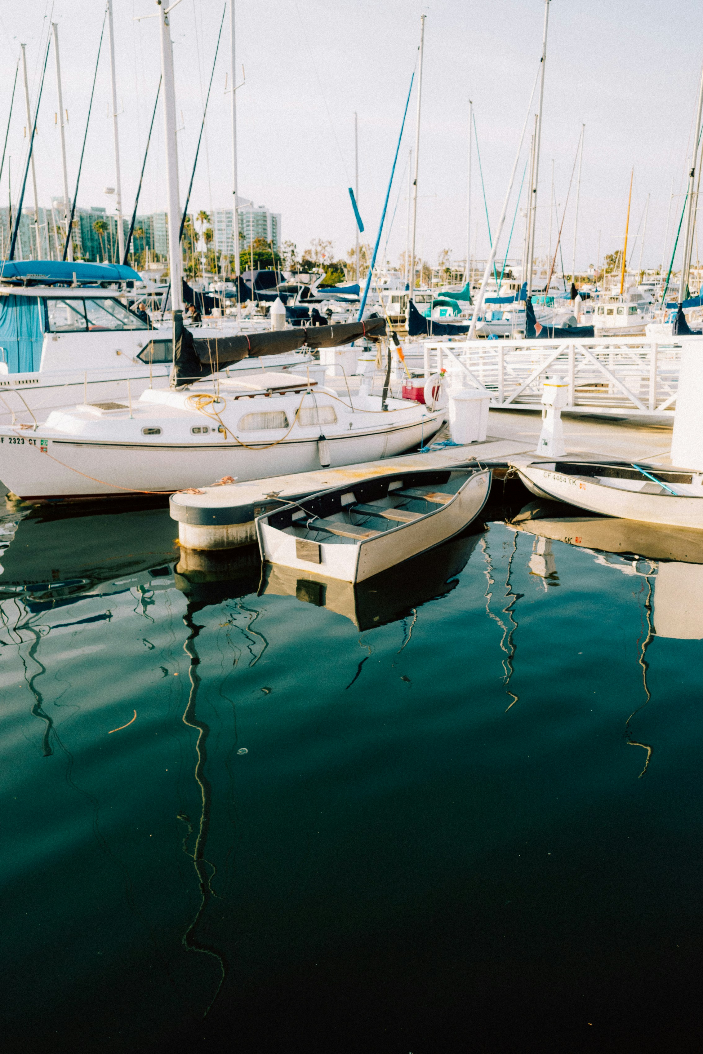 Photo by david7photog