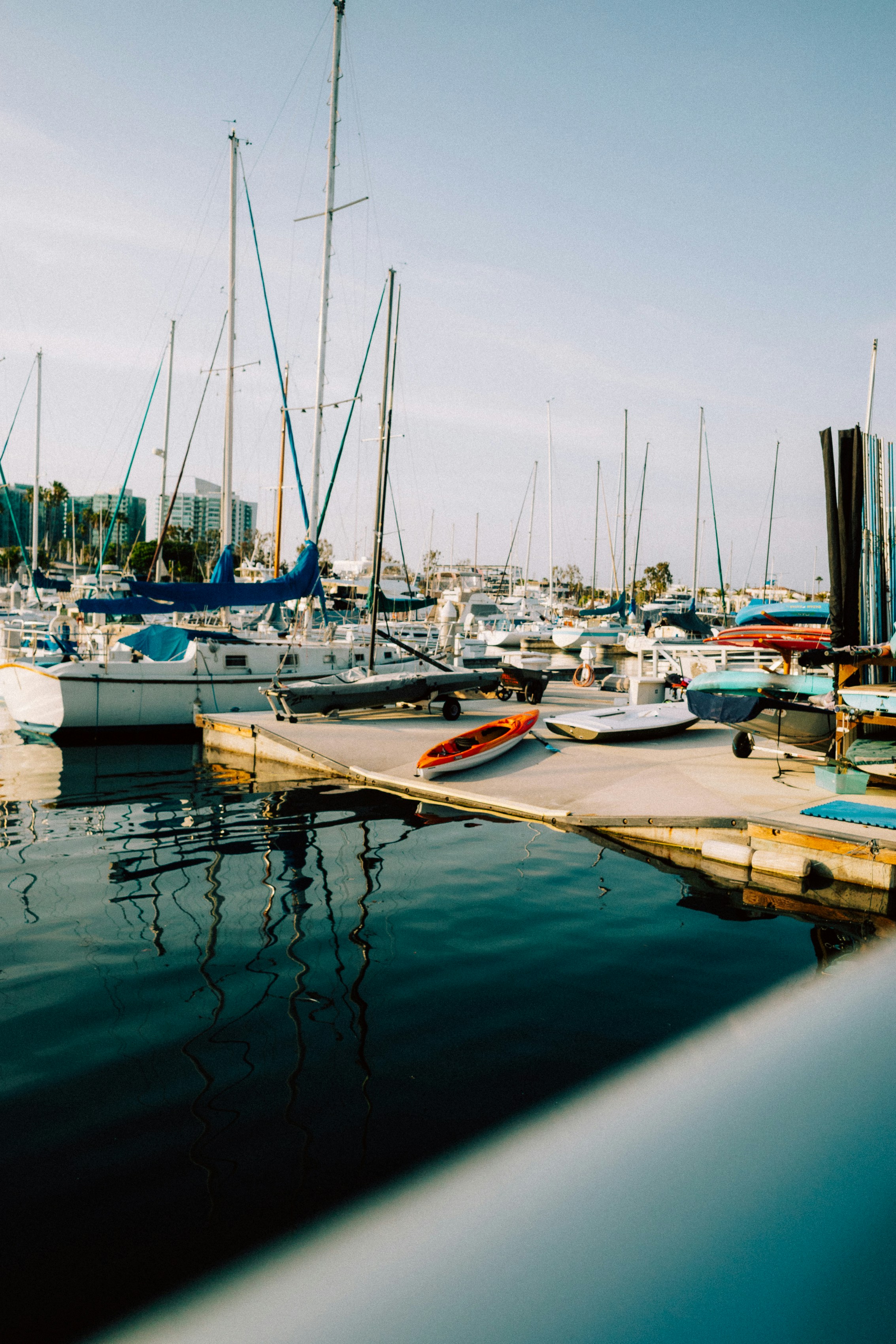 Photo by david7photog