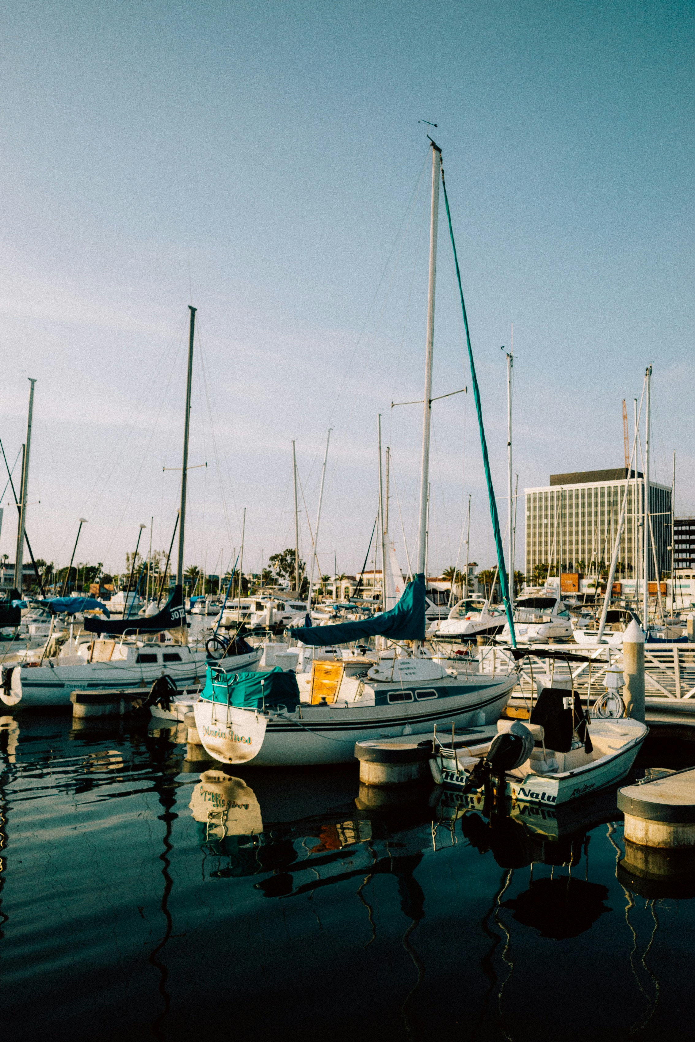 Photo by david7photog