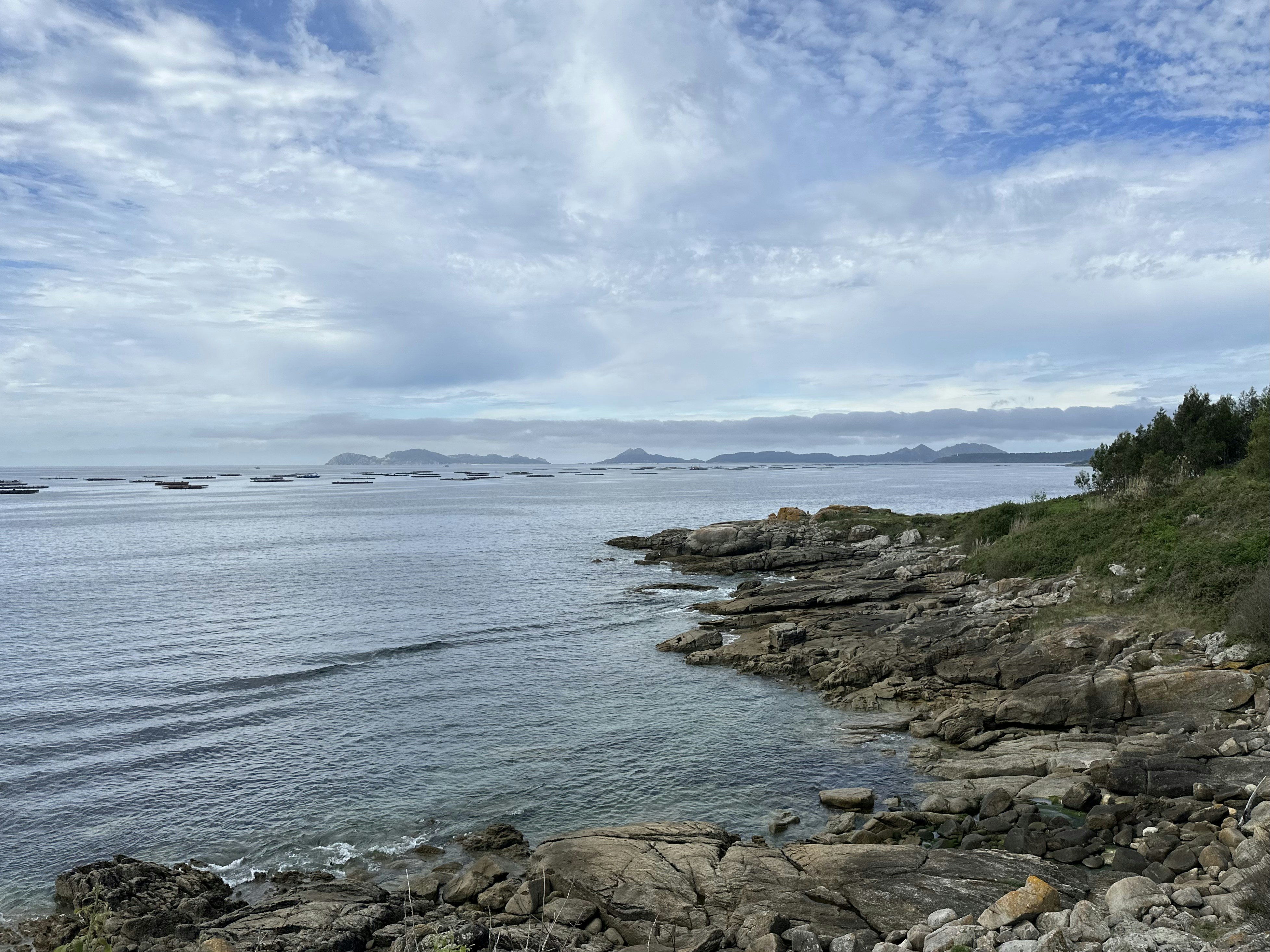 Photo by sergei_gussev