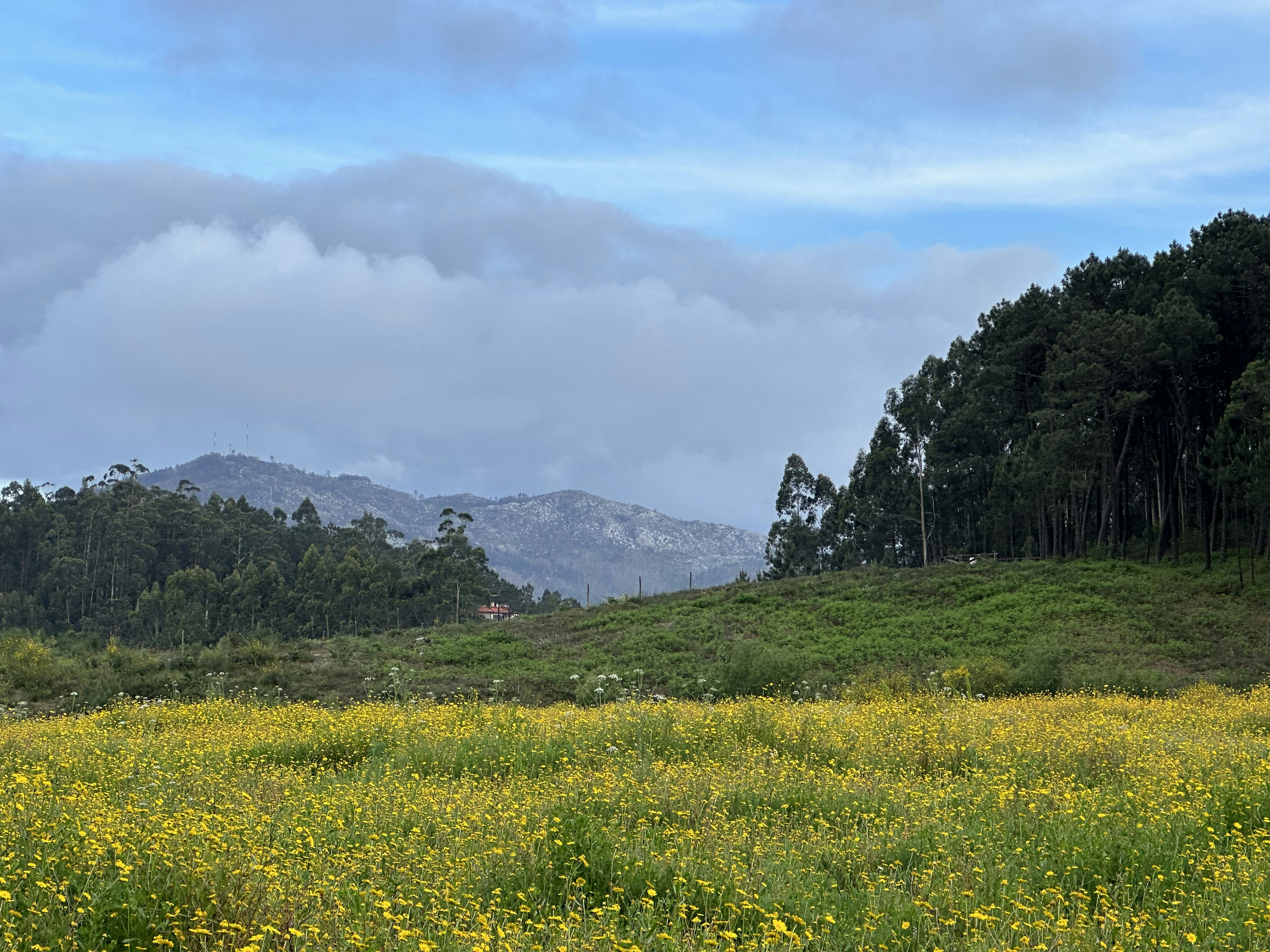 Photo by sergei_gussev