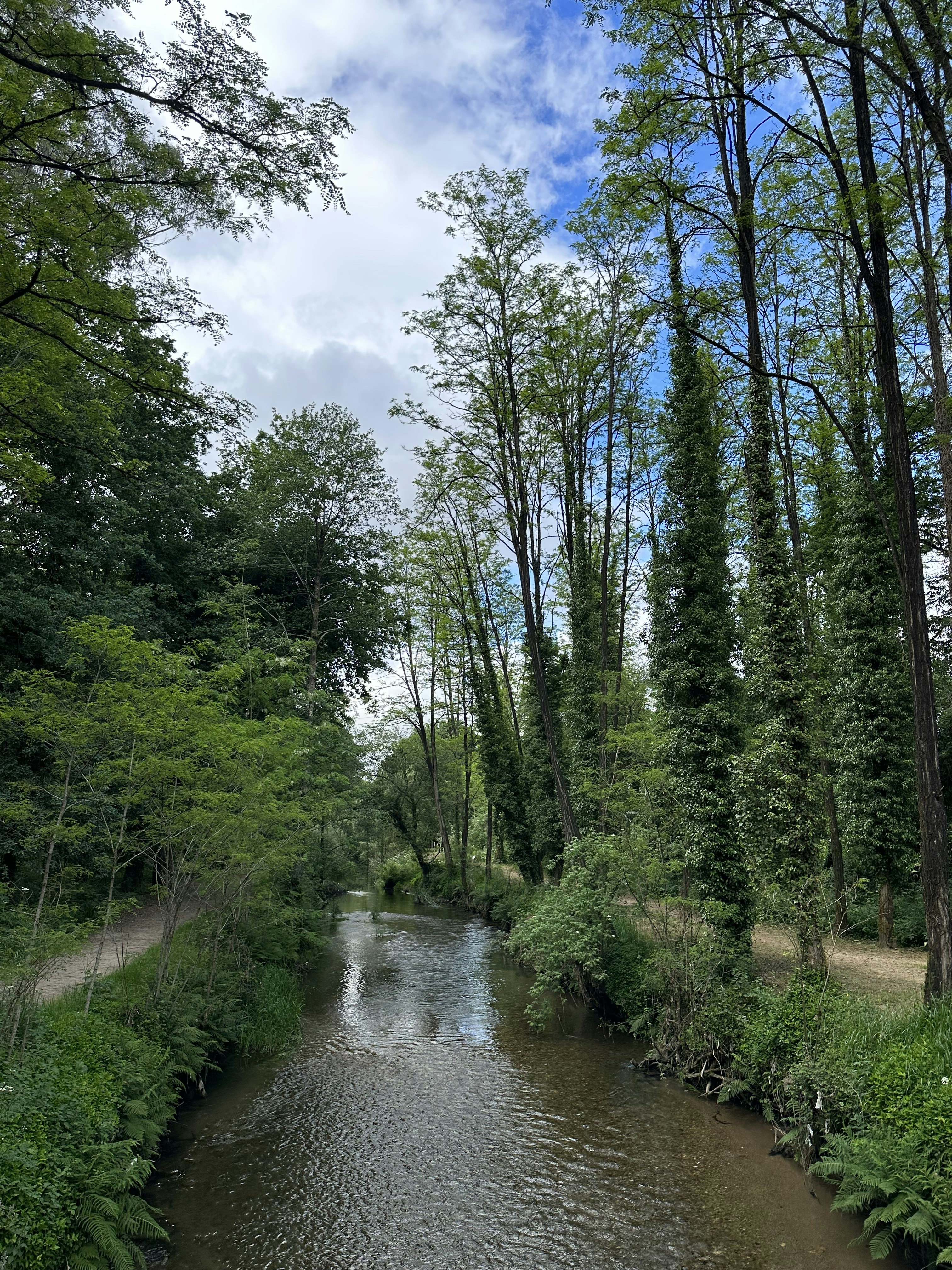 Photo by sergei_gussev