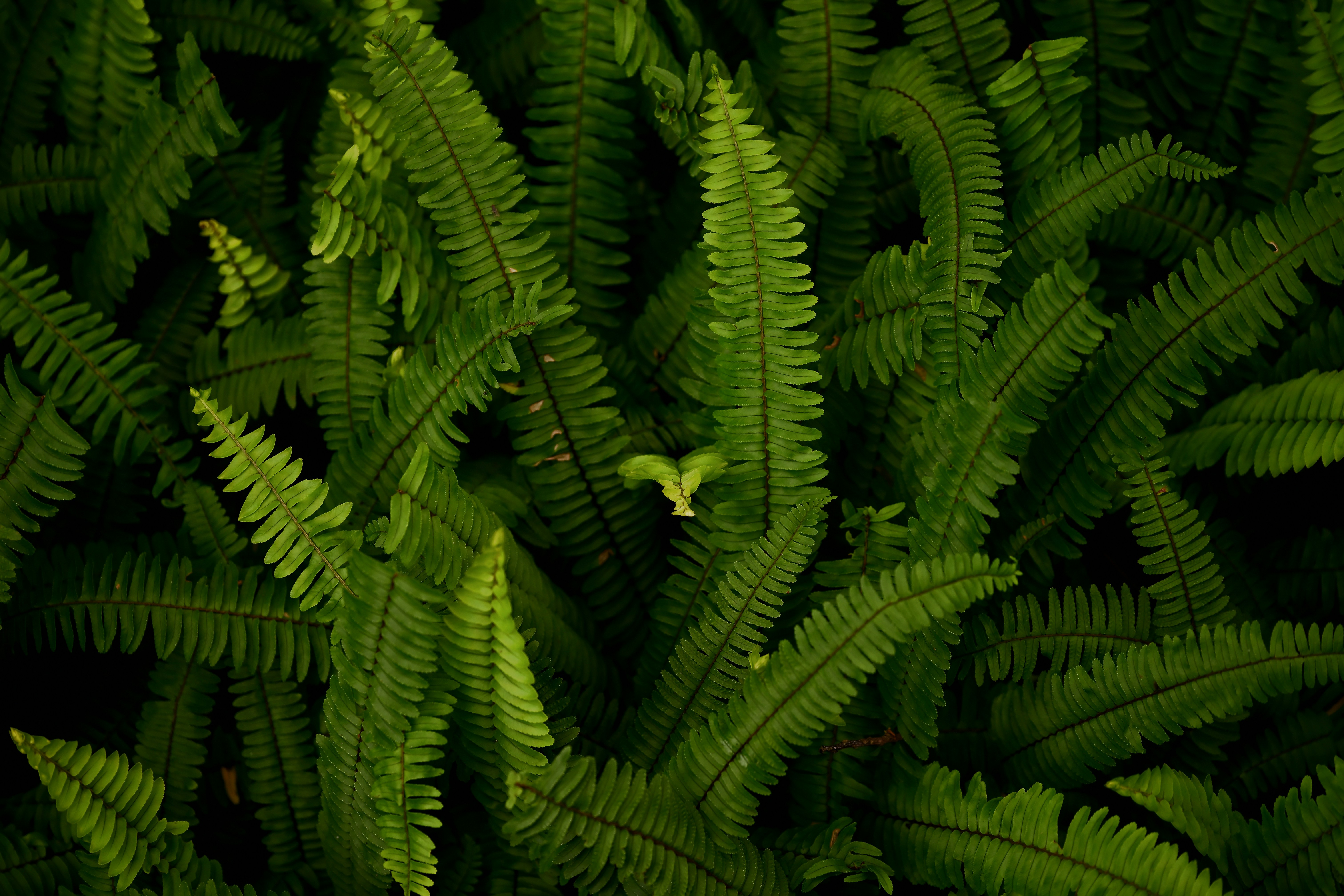 Photo by seanwuphoto