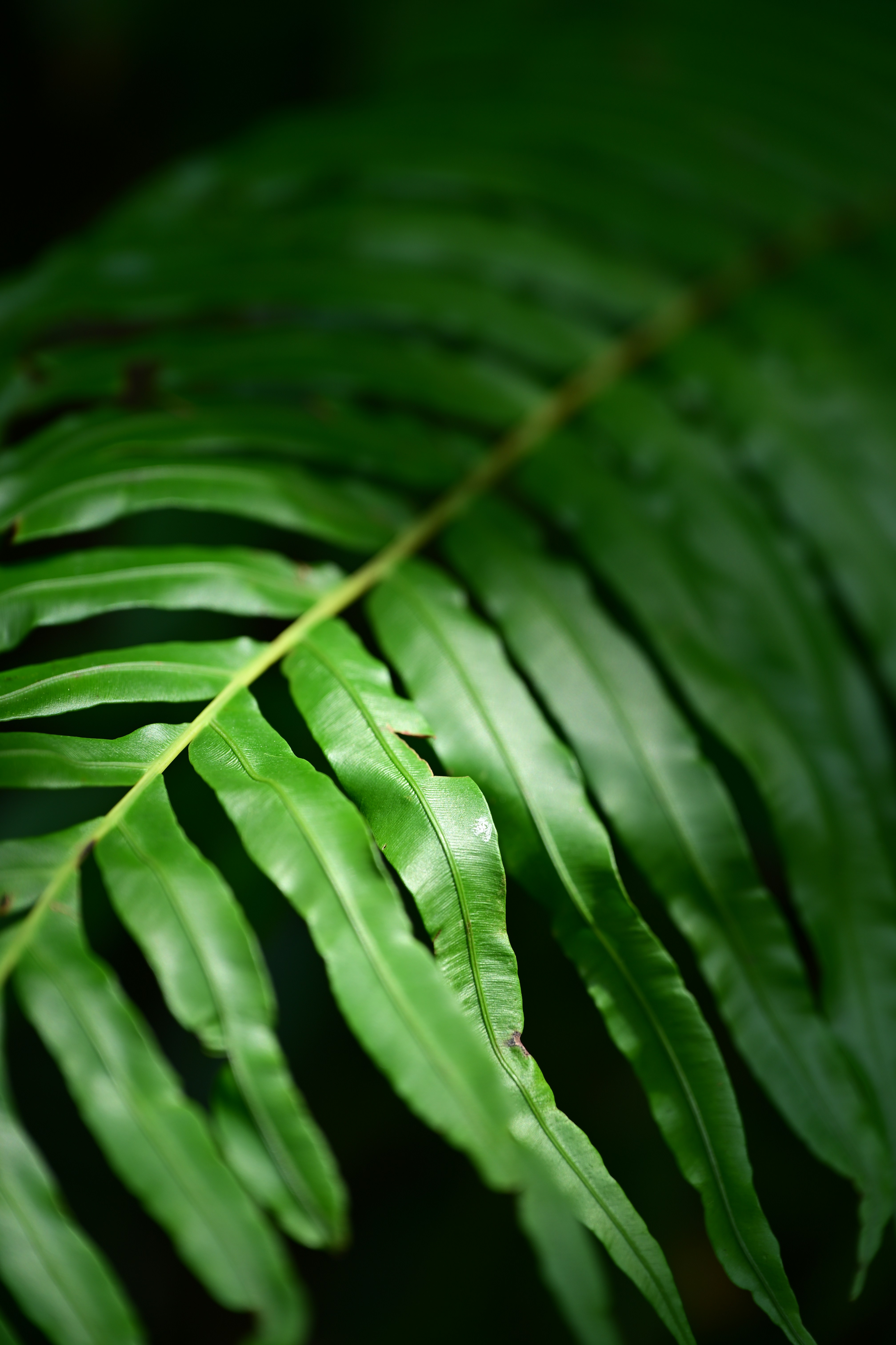 Photo by seanwuphoto