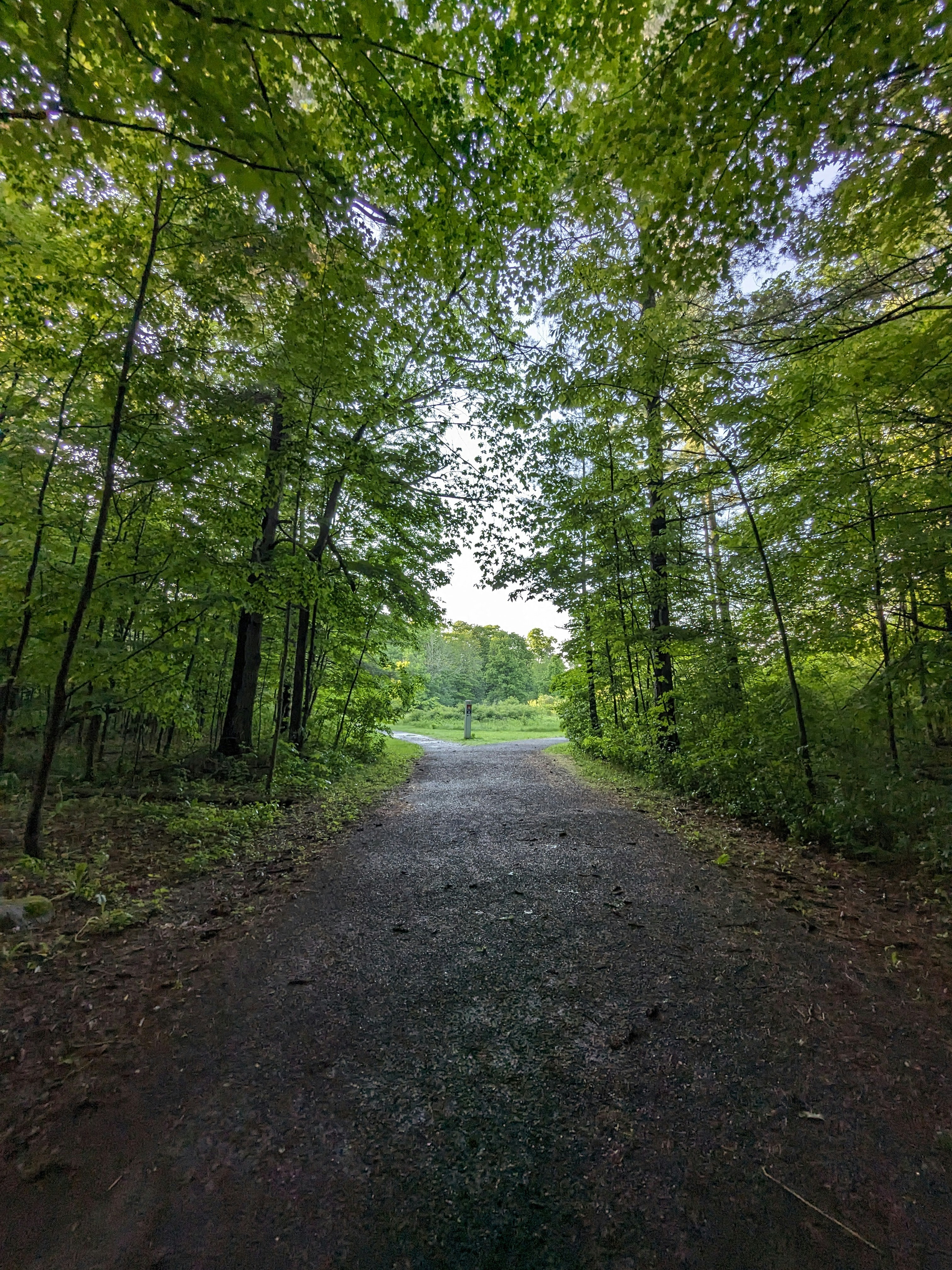 Photo by hashcode_error