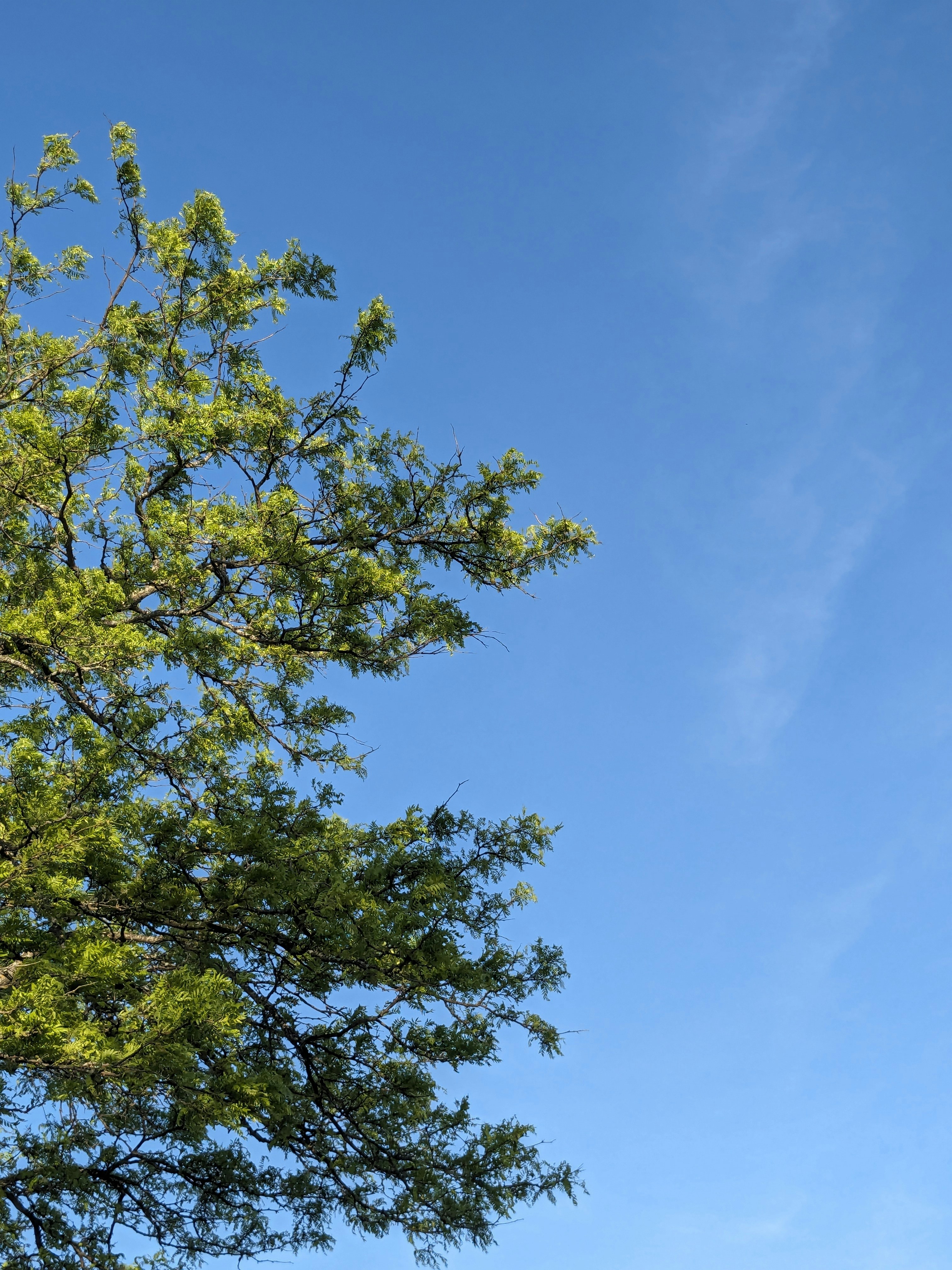 Photo by hashcode_error