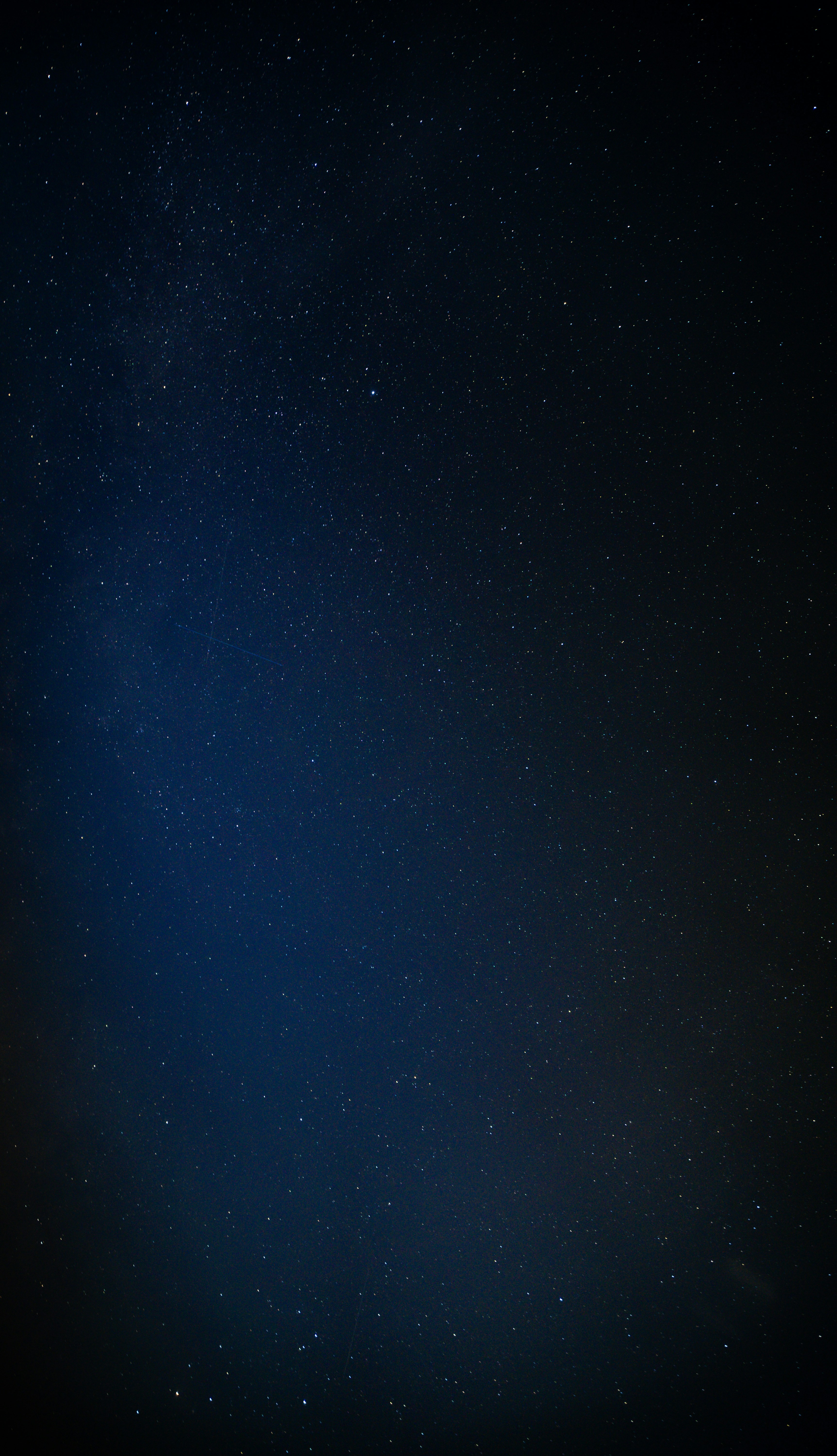 Photo by abovesavage