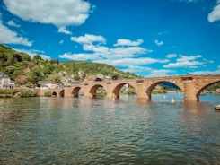 a bridge over a body of water with houses in the background