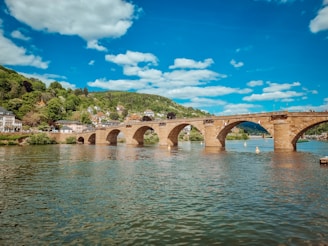 a bridge over a body of water with houses in the background