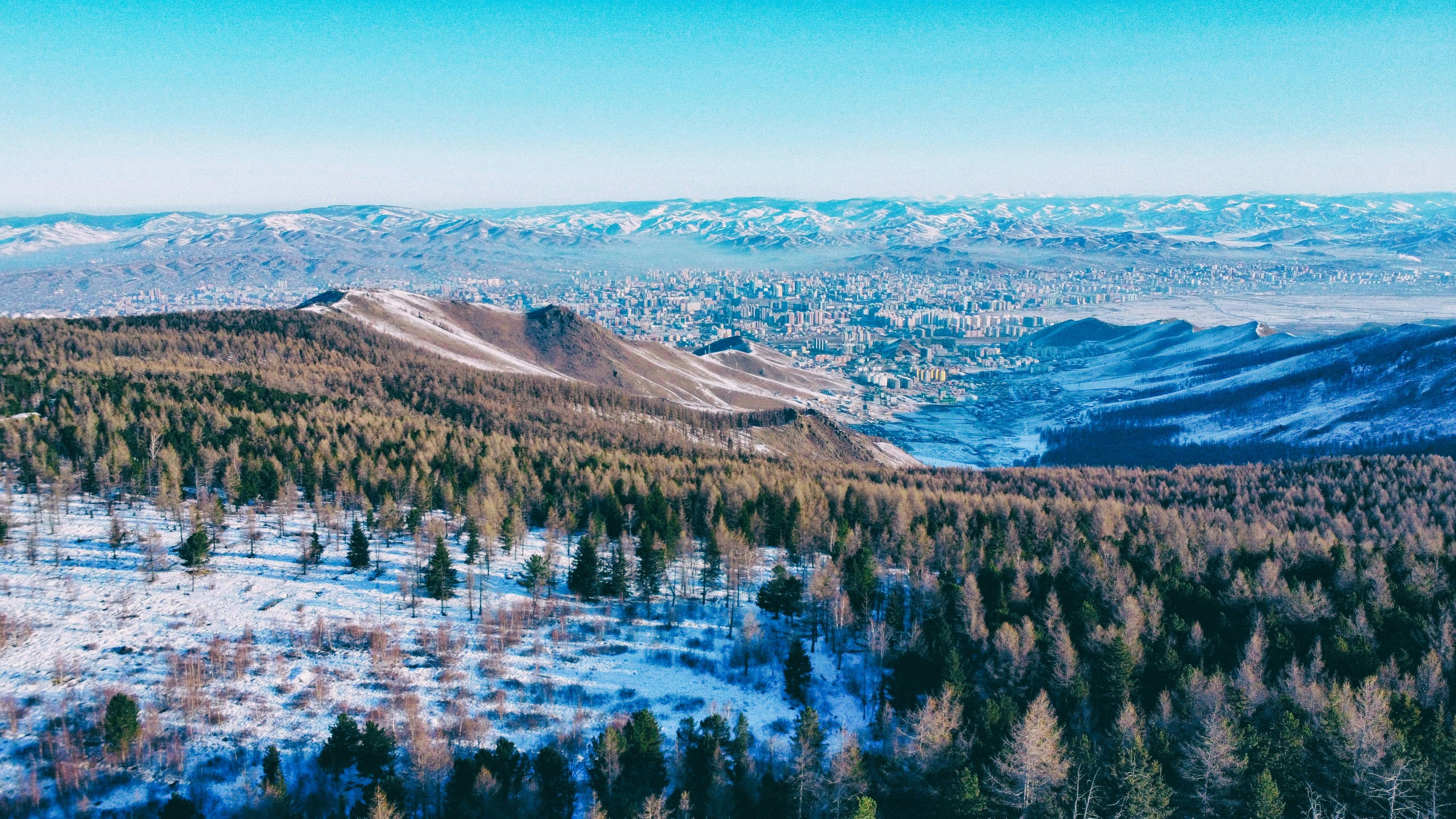 une vue d’une chaîne de montagnes enneigée avec des arbres au premier plan