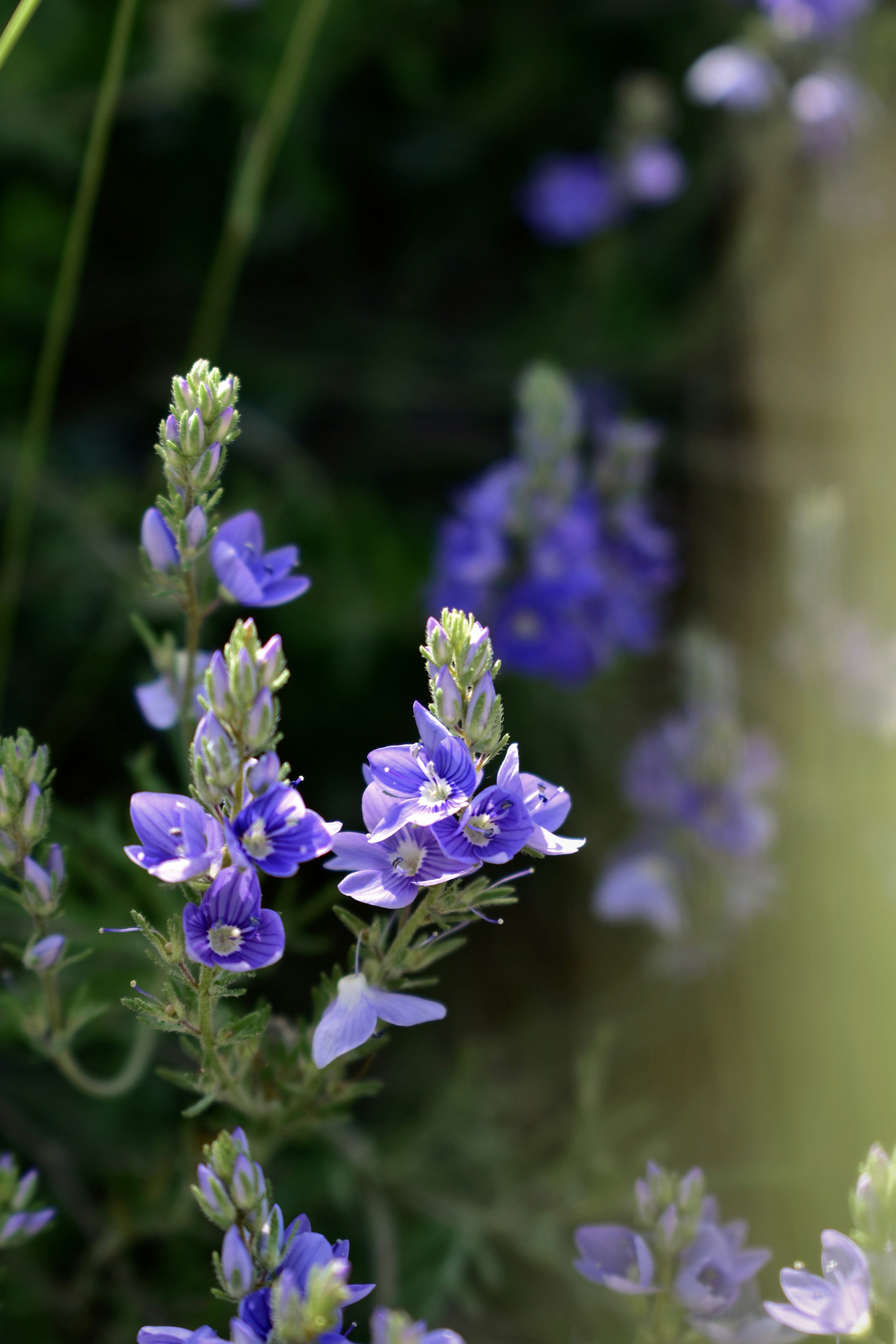 Photo by polina_grishma