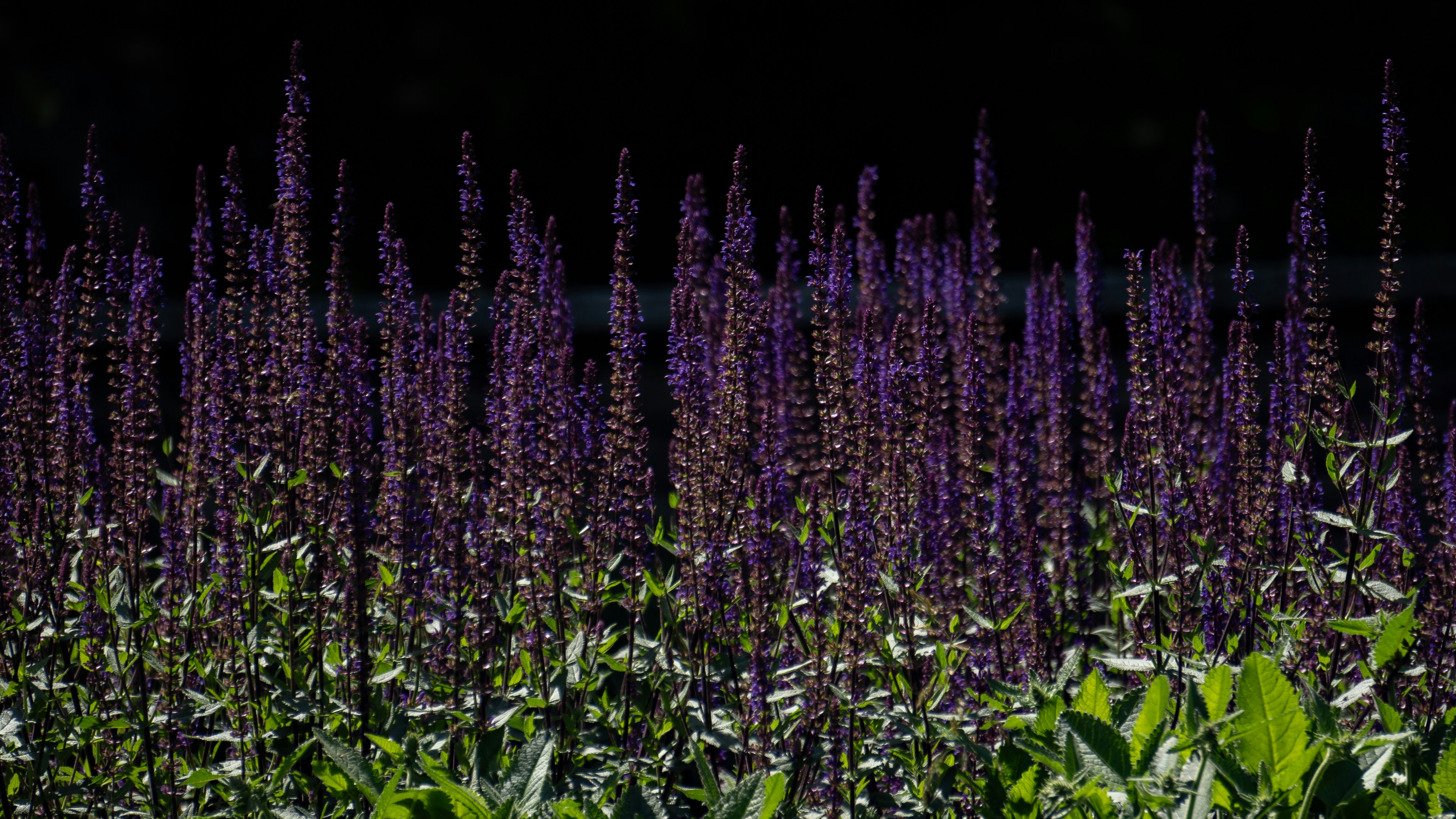 Photo by eugenechystiakov