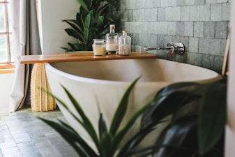a bathroom with a plant and a bathtub