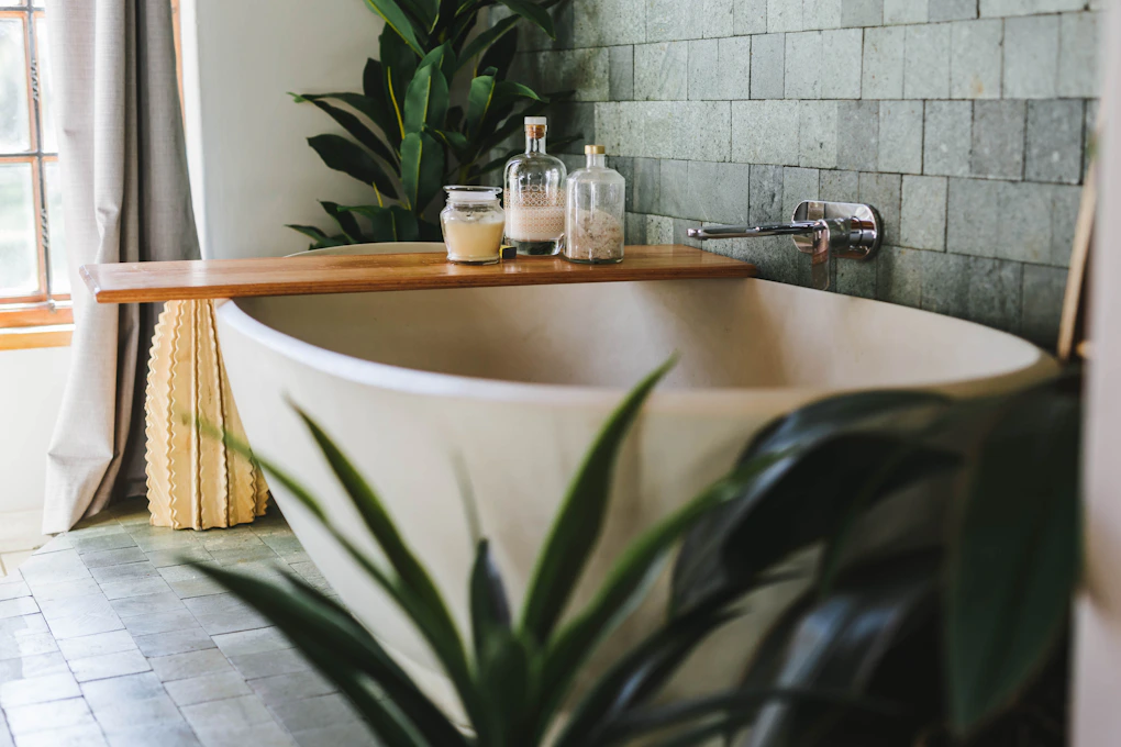 a bathroom with a plant and a bathtub