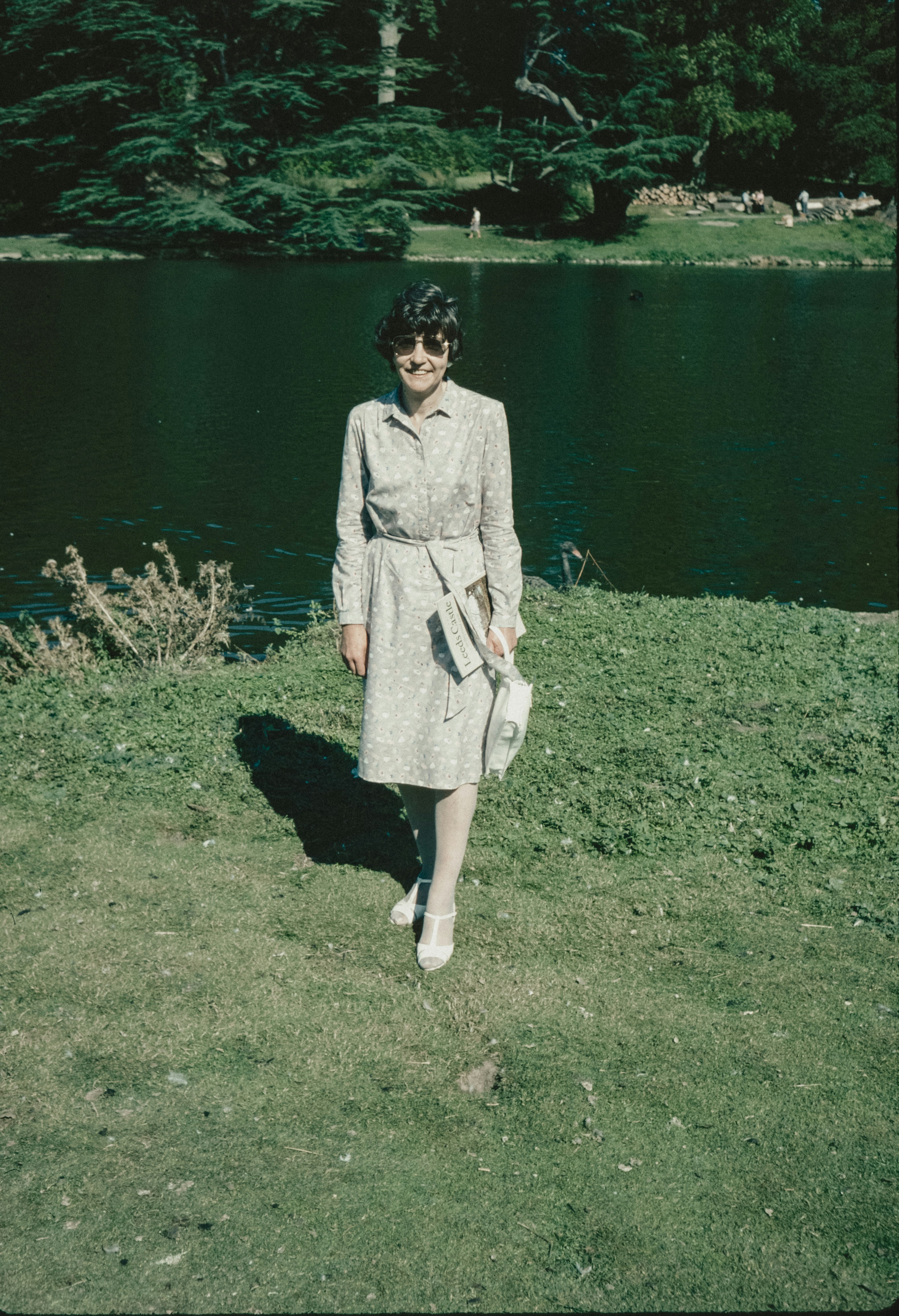 a woman in a dress walking by a lake
