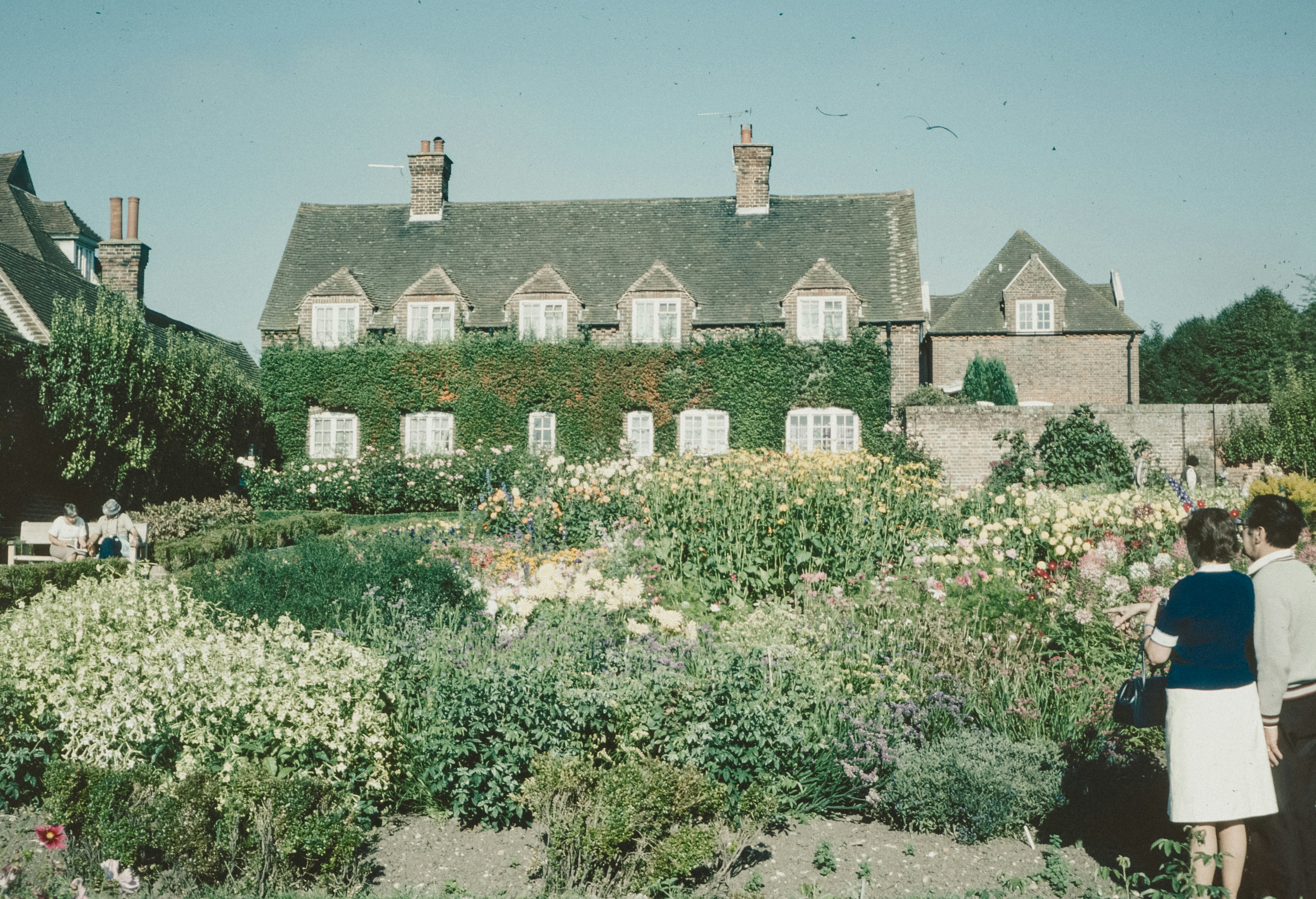 Old ways, Dying Ways - by Hadden Turner - Over the Field