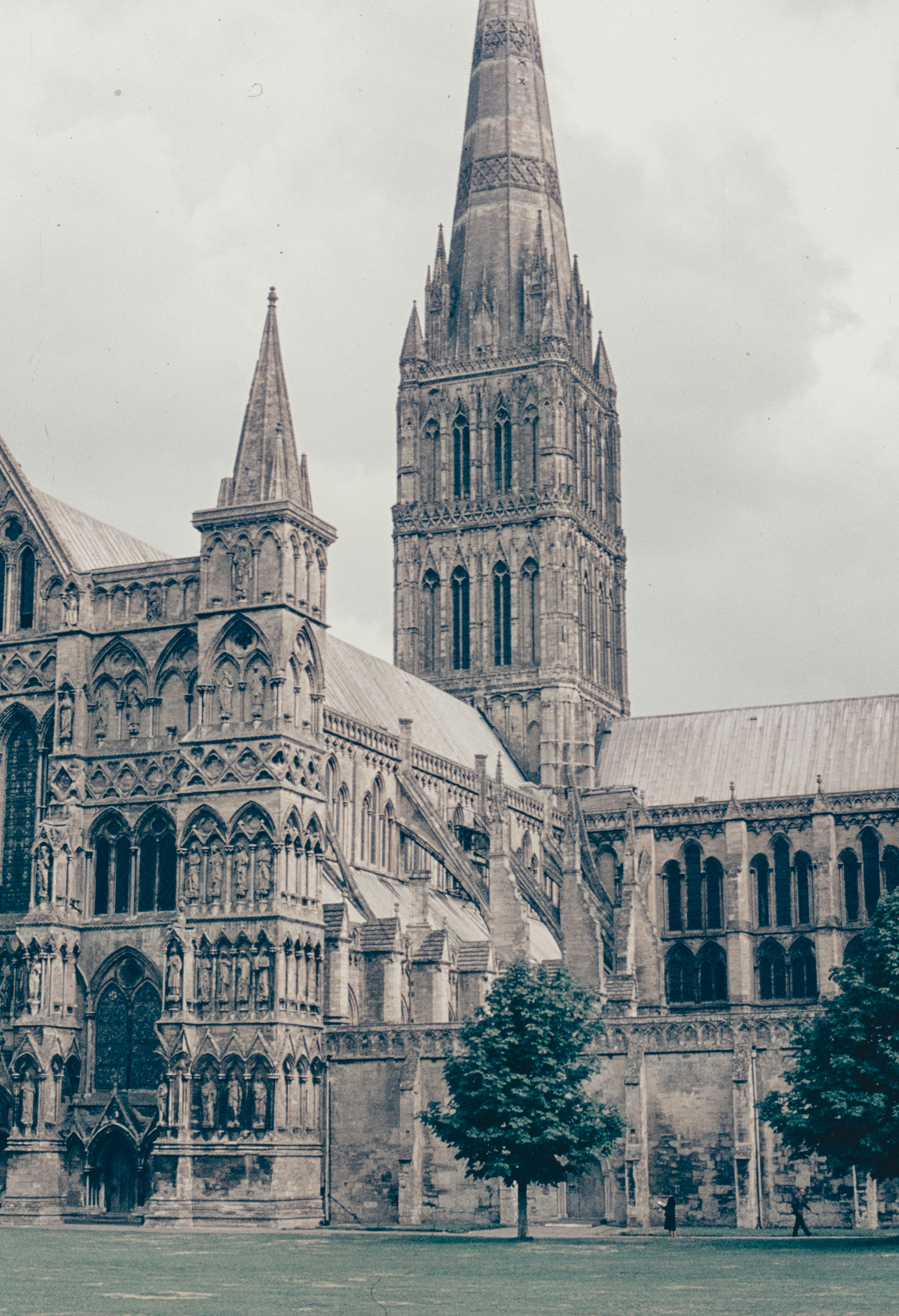 Photo by anniespratt