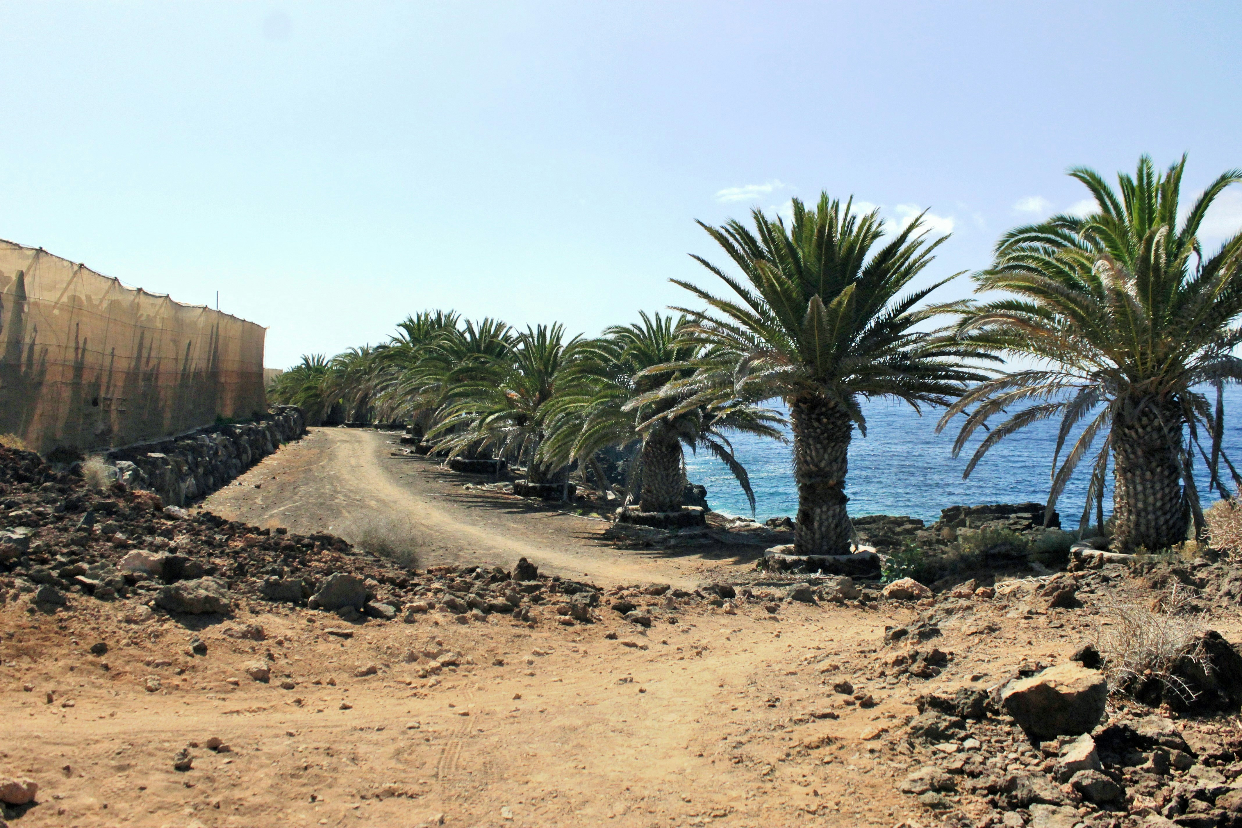 Cape Verde - Things to Do in Cape Verde
