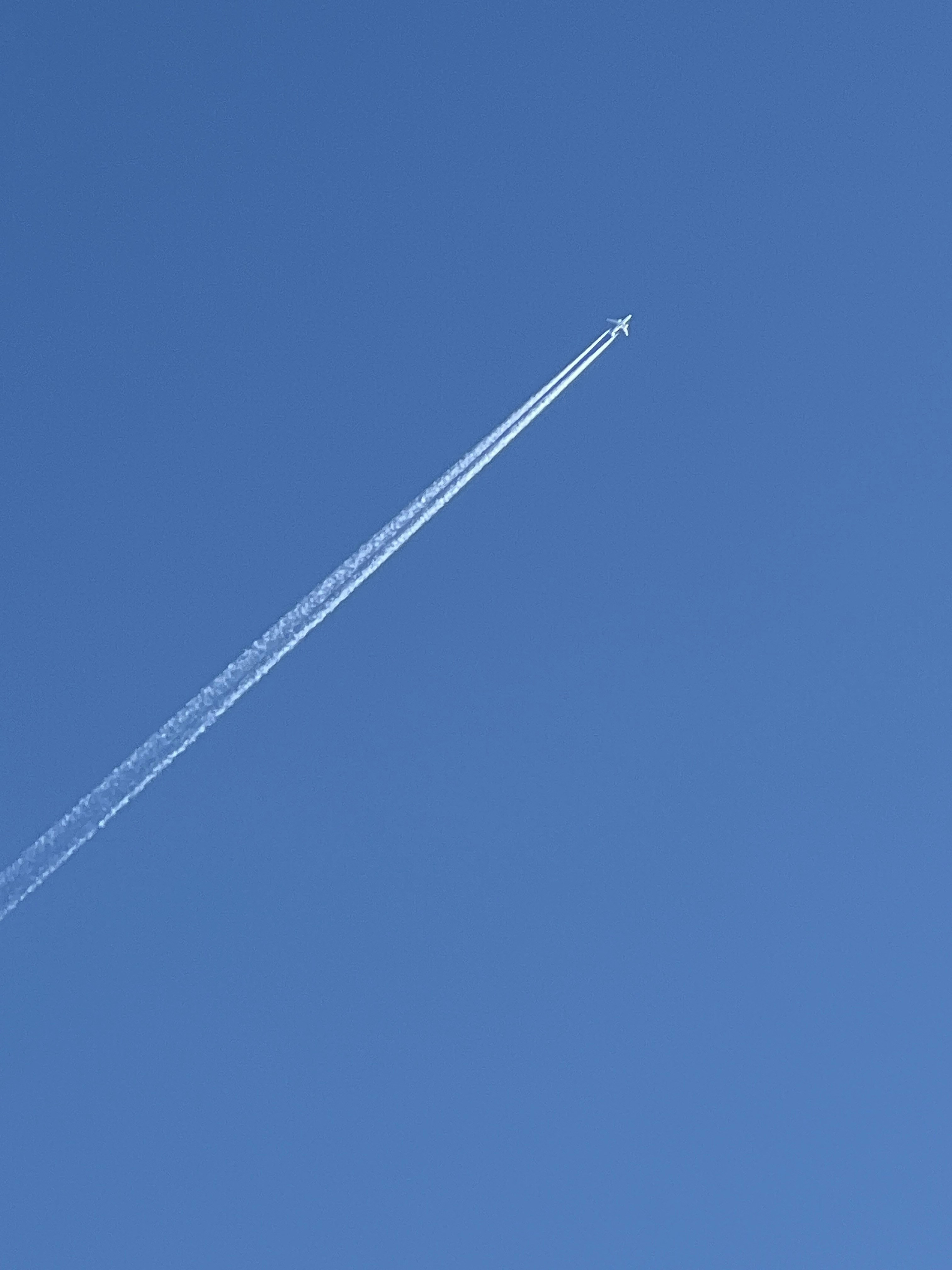 Photo by jasminely128