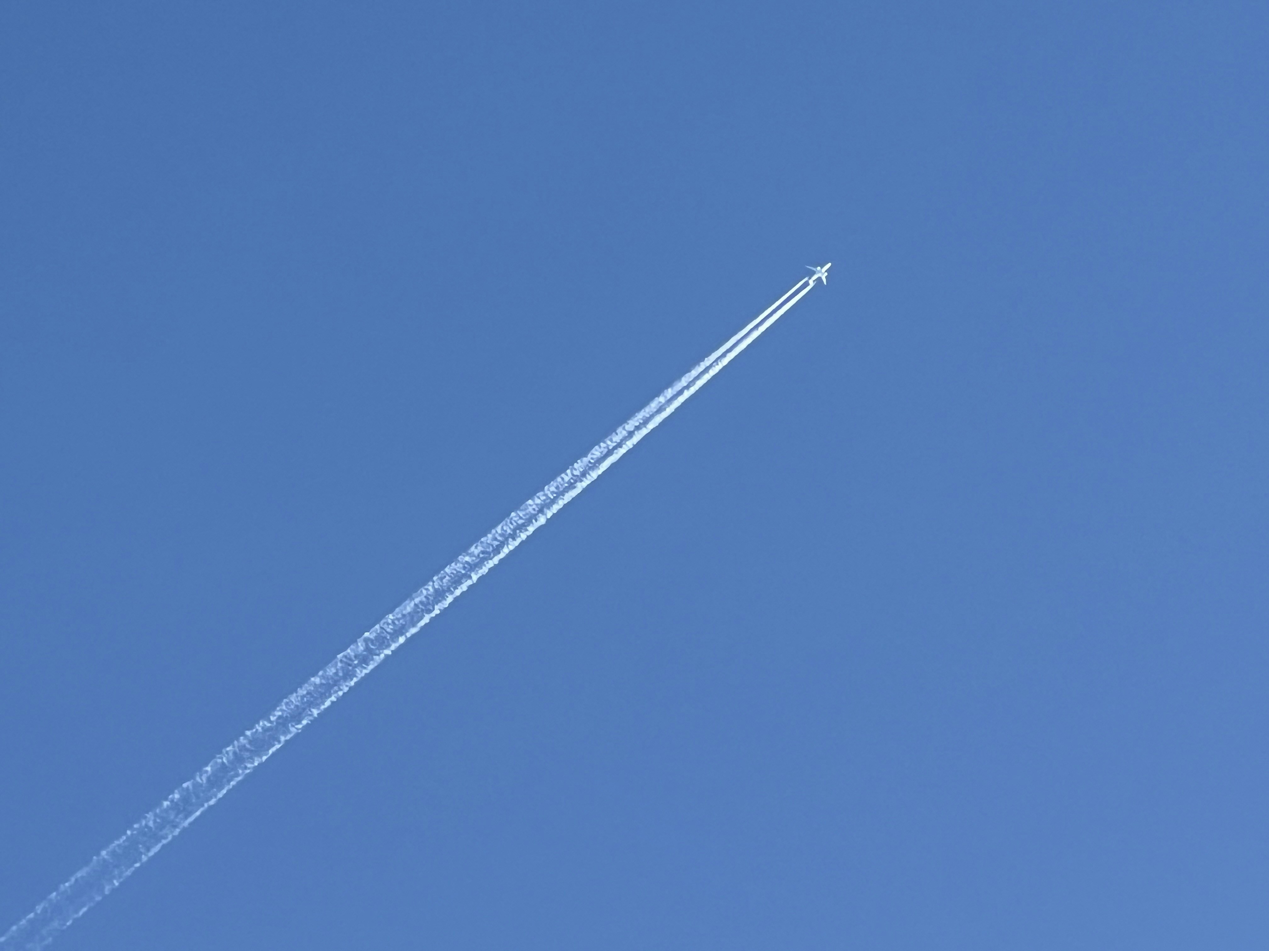 Photo by jasminely128