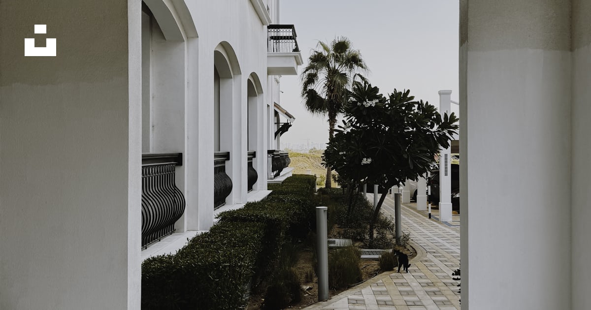 An archway leading to a building with a tree in the middle photo – Free ...