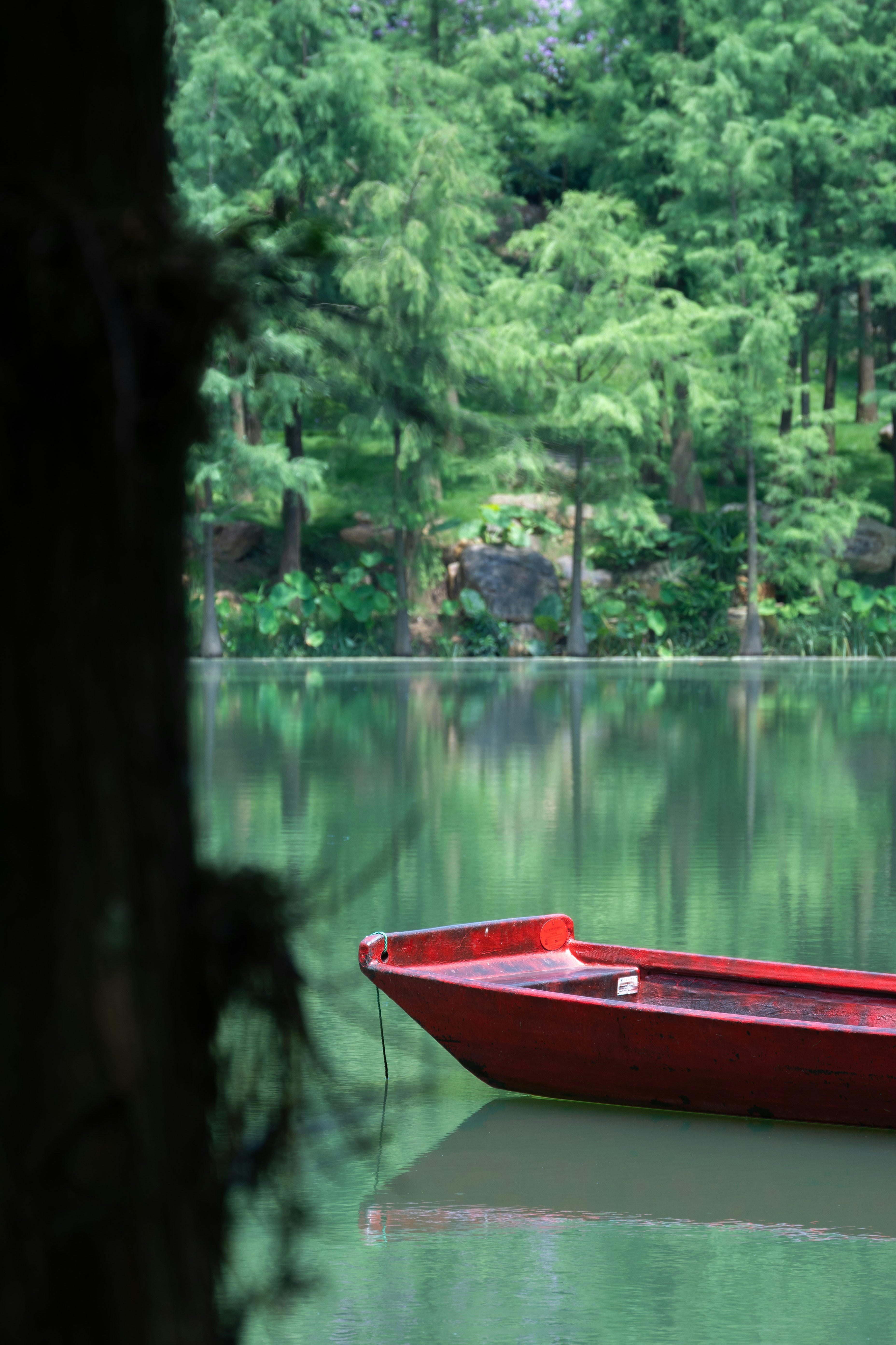 Photo by mightycommander