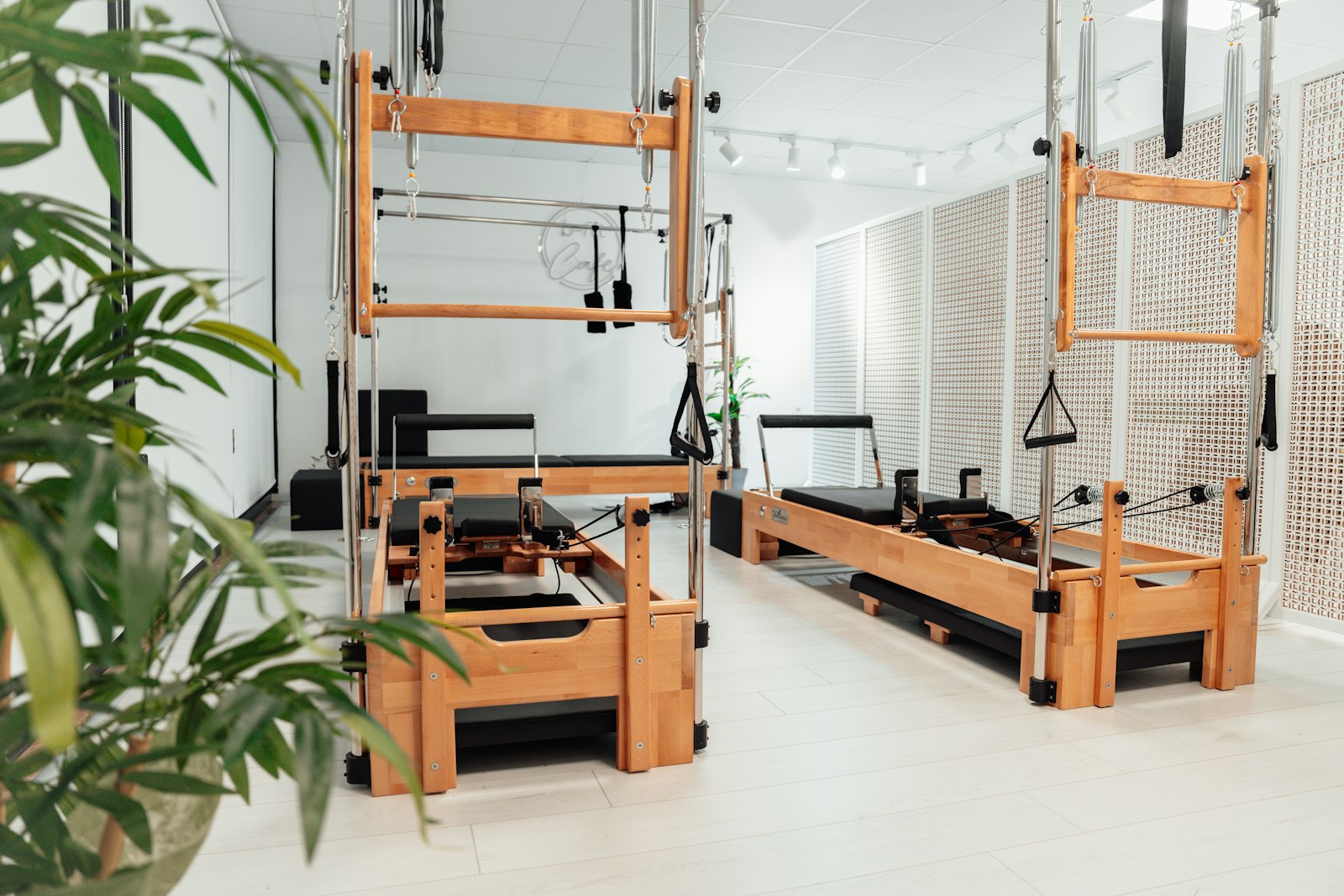 Rise Wellness Center photo