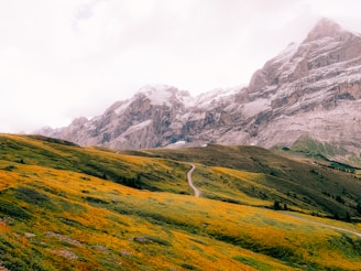 a scenic view of a mountain with a road going through it