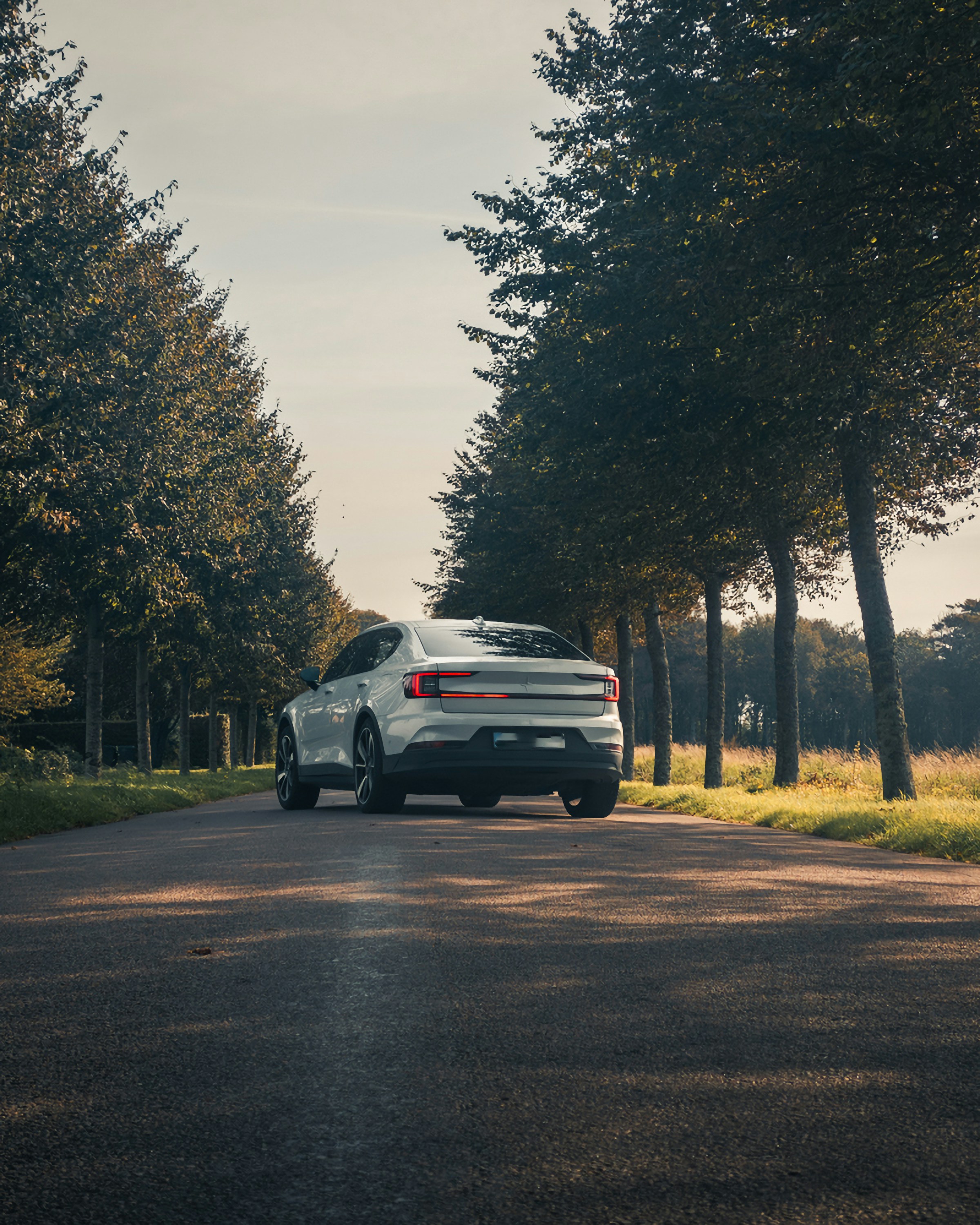 Photo by jacobasker04