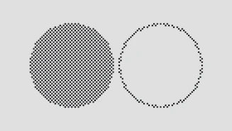 a black and white photo of an egg