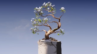 a bonsai tree growing out of a concrete block