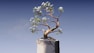 a bonsai tree growing out of a concrete block