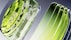 a close up of a green object on a white surface