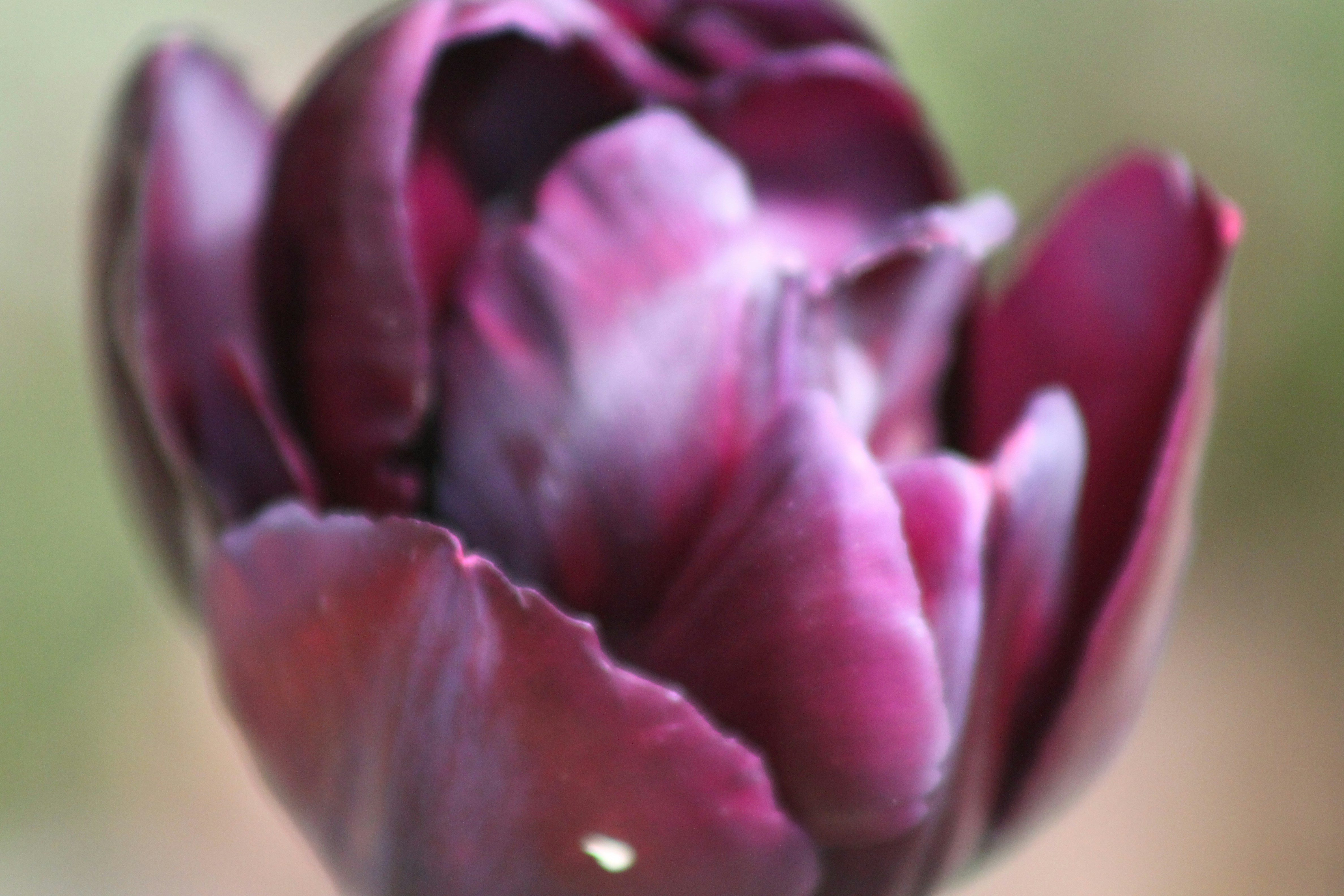 Photo by rubyphotography