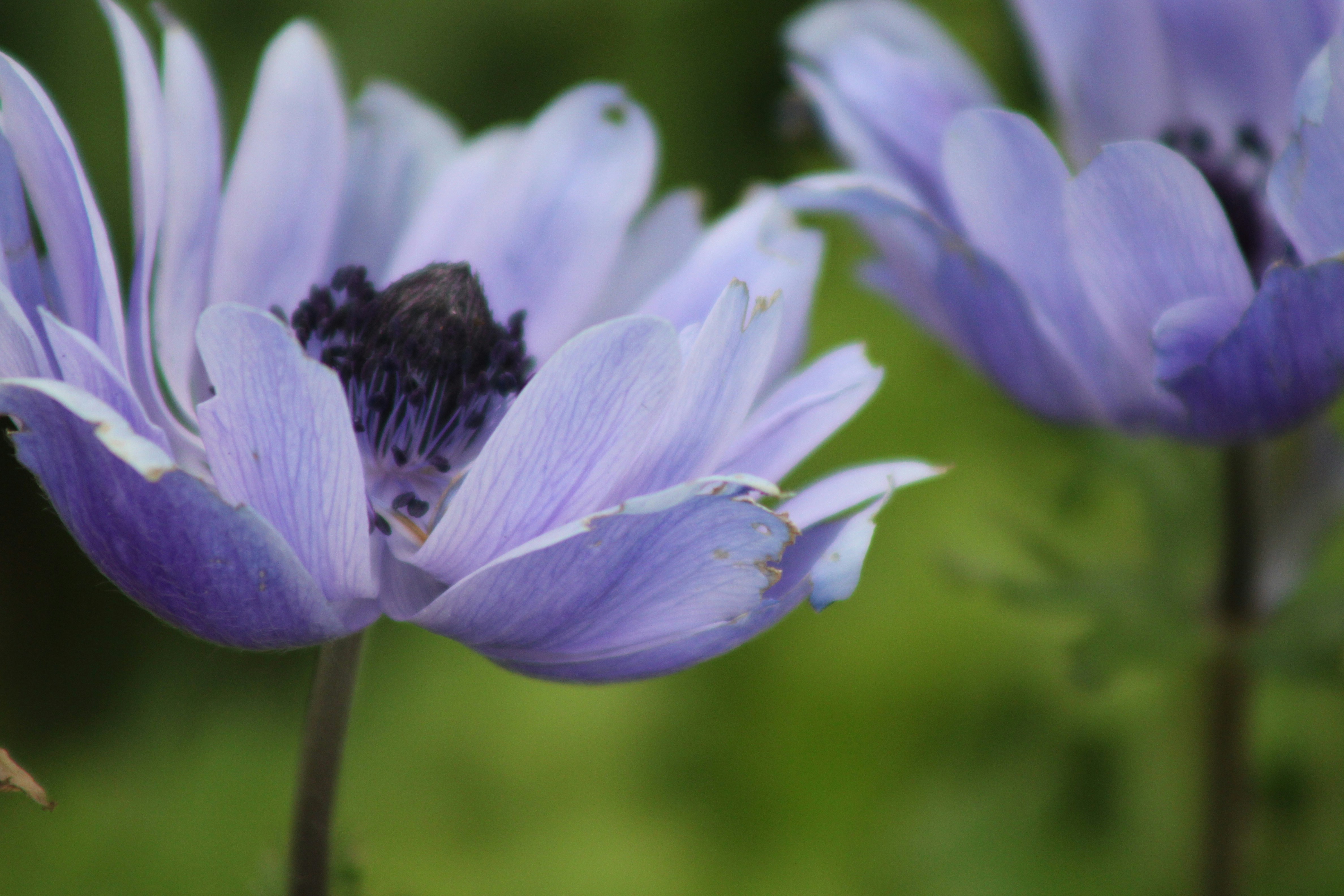 Photo by rubyphotography