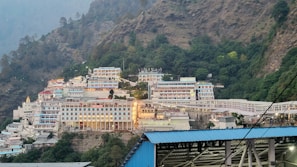 a view of a city with a mountain in the background